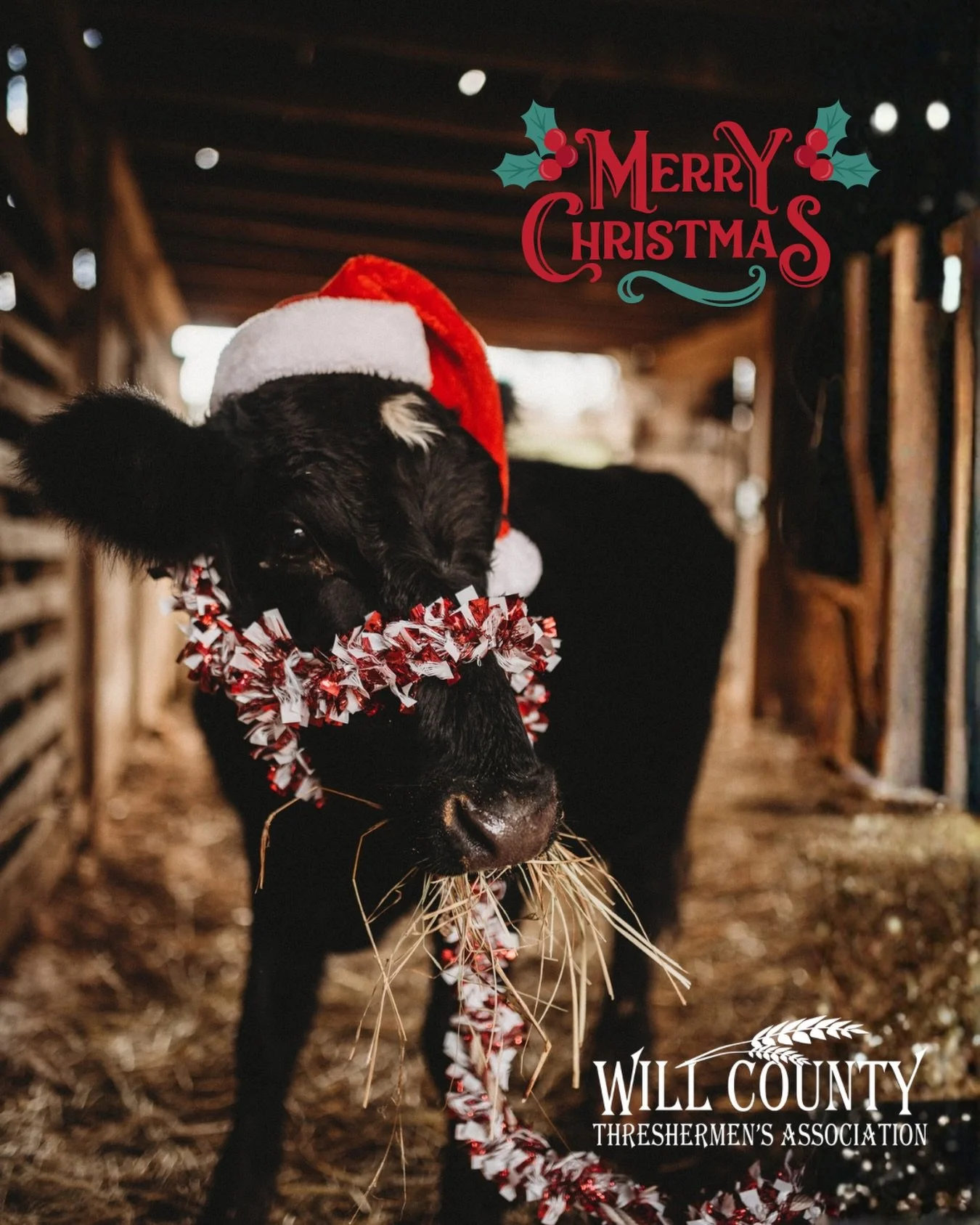 🎄 Wishing you a Christmas filled with joy, warmth, and the company of loved ones! 🌟 Merry Christmas from all of us at WCTA. May your holiday season be merry and bright! 🚜✨ 

#MerryChristmas #SeasonsGreetings #willcountythresh #willcountyillinois #