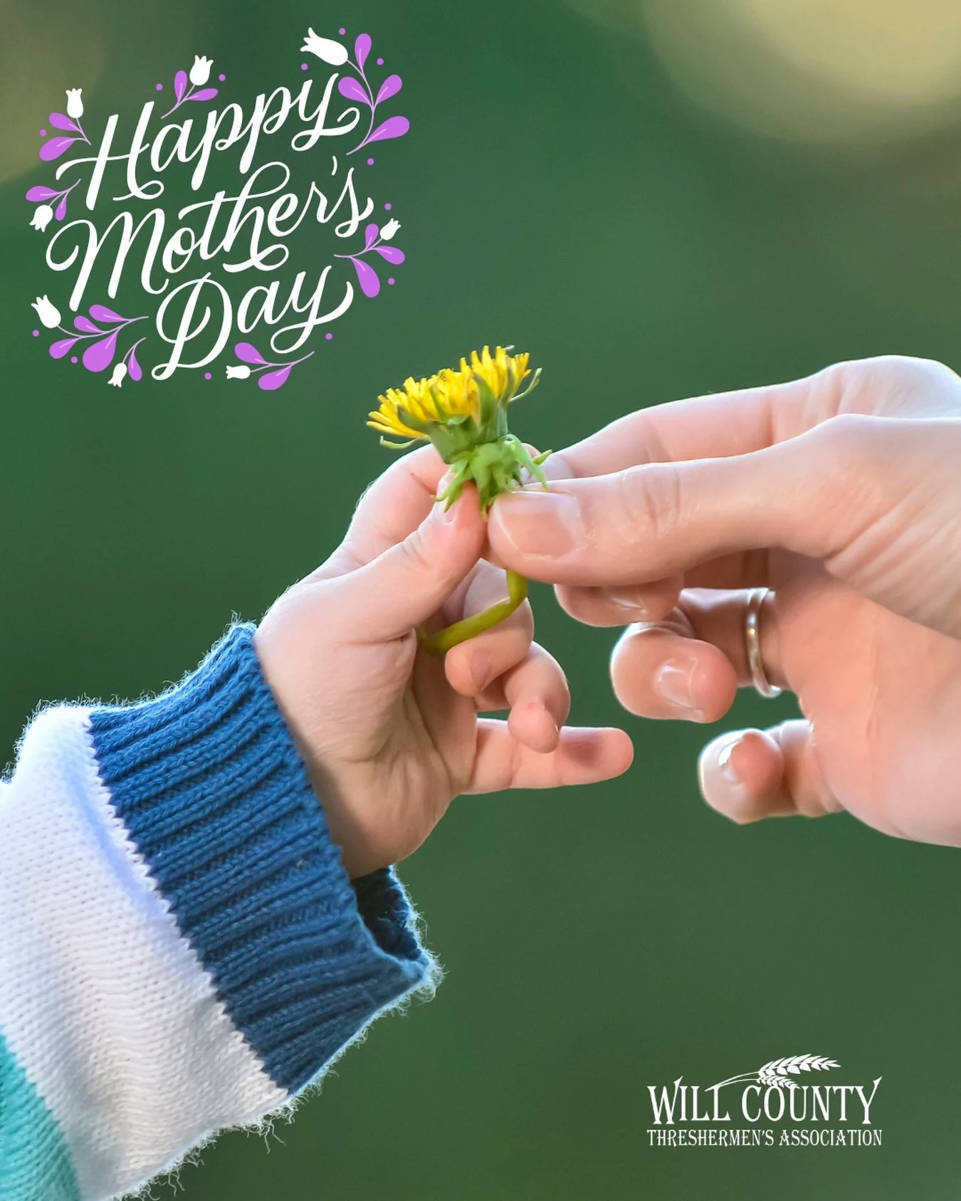 Today we celebrate the mothers, grandmothers, and women whose hard work, care, and dedication have helped shape our families, farms, and communities through generations. Thank you for all you do to preserve traditions, support agriculture, and keep f