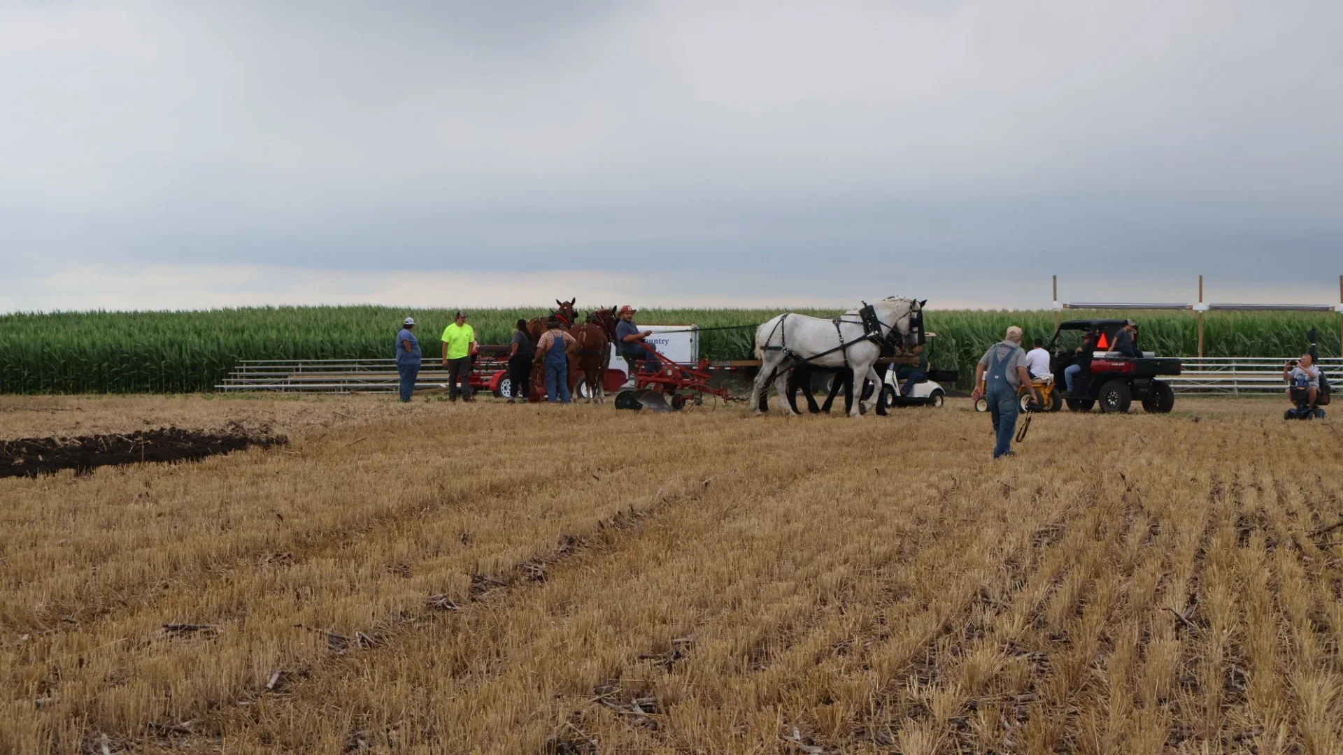 2025_WCTA_AS_Fieldwork_Horses (14).JPG