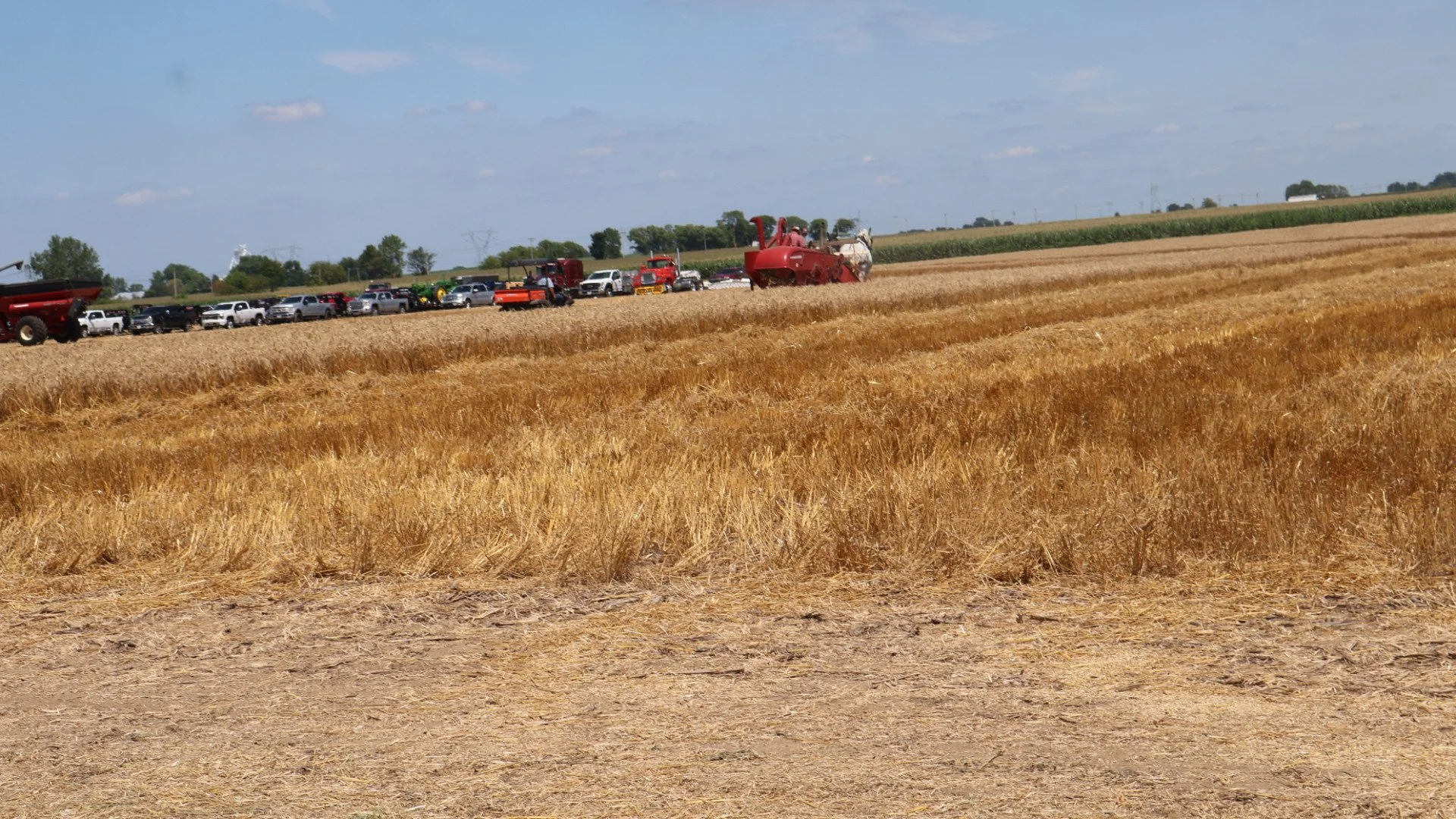 2025_WCTA_AS_Fieldwork (2).JPG