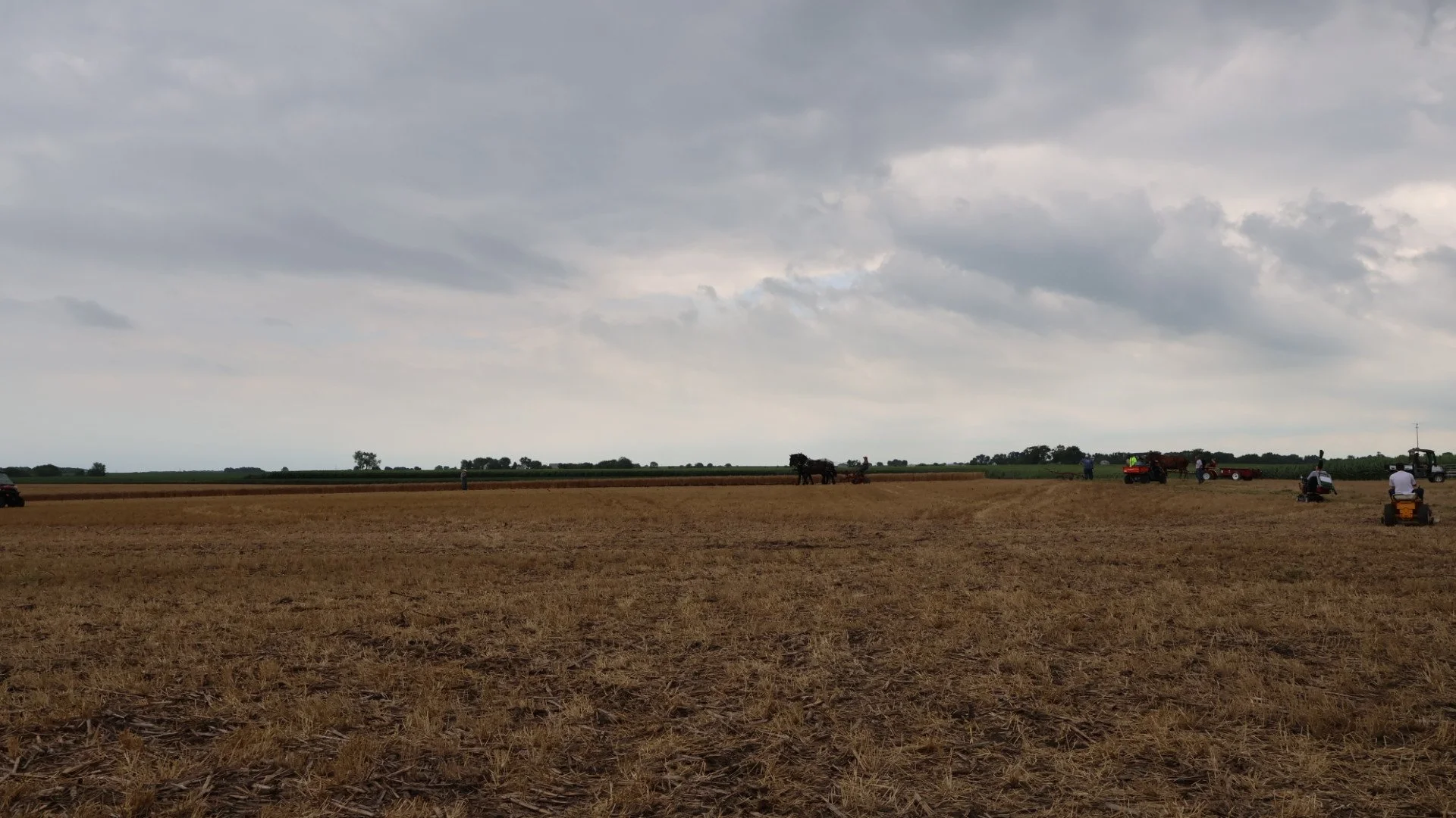 2025_WCTA_AS_Fieldwork_Horses (15).JPG