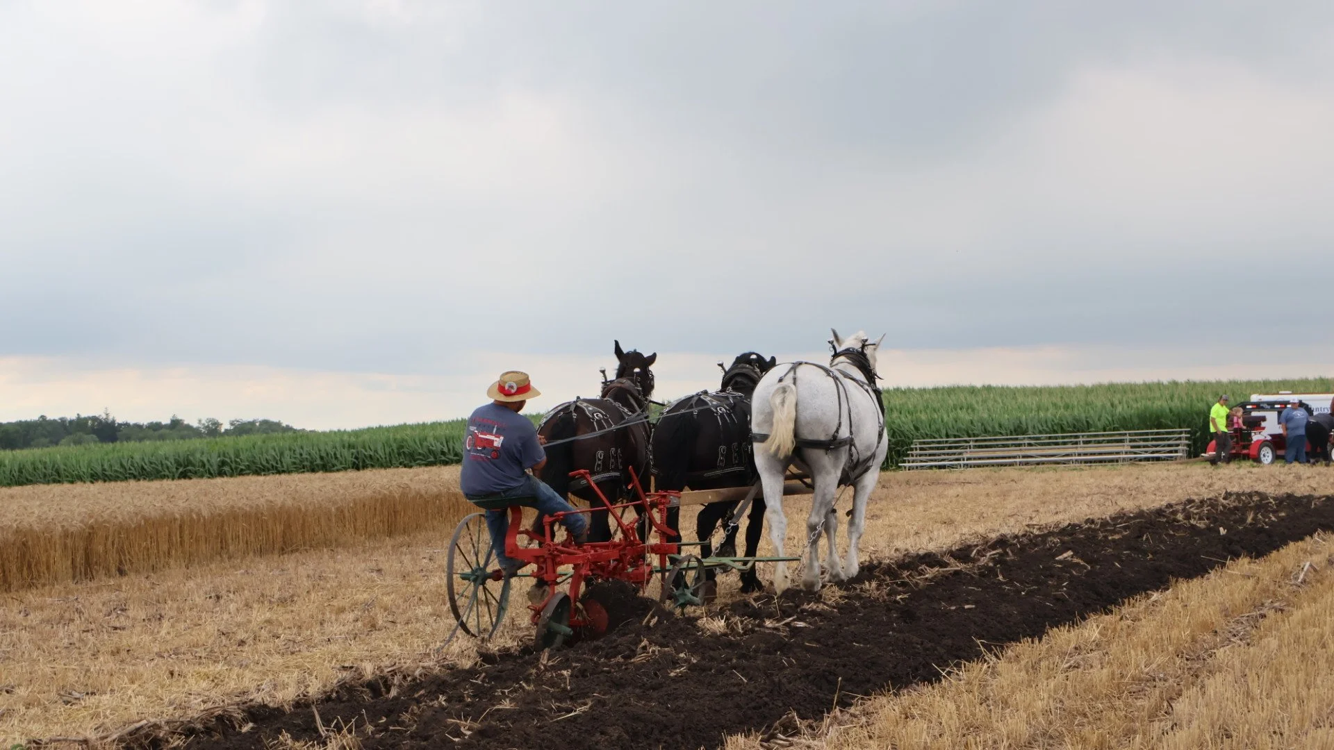 2025_WCTA_AS_Fieldwork_Horses (12).JPG