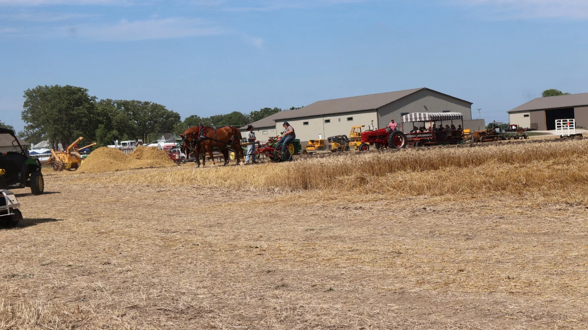 2025_WCTA_AS_Fieldwork_Horses (17).JPG