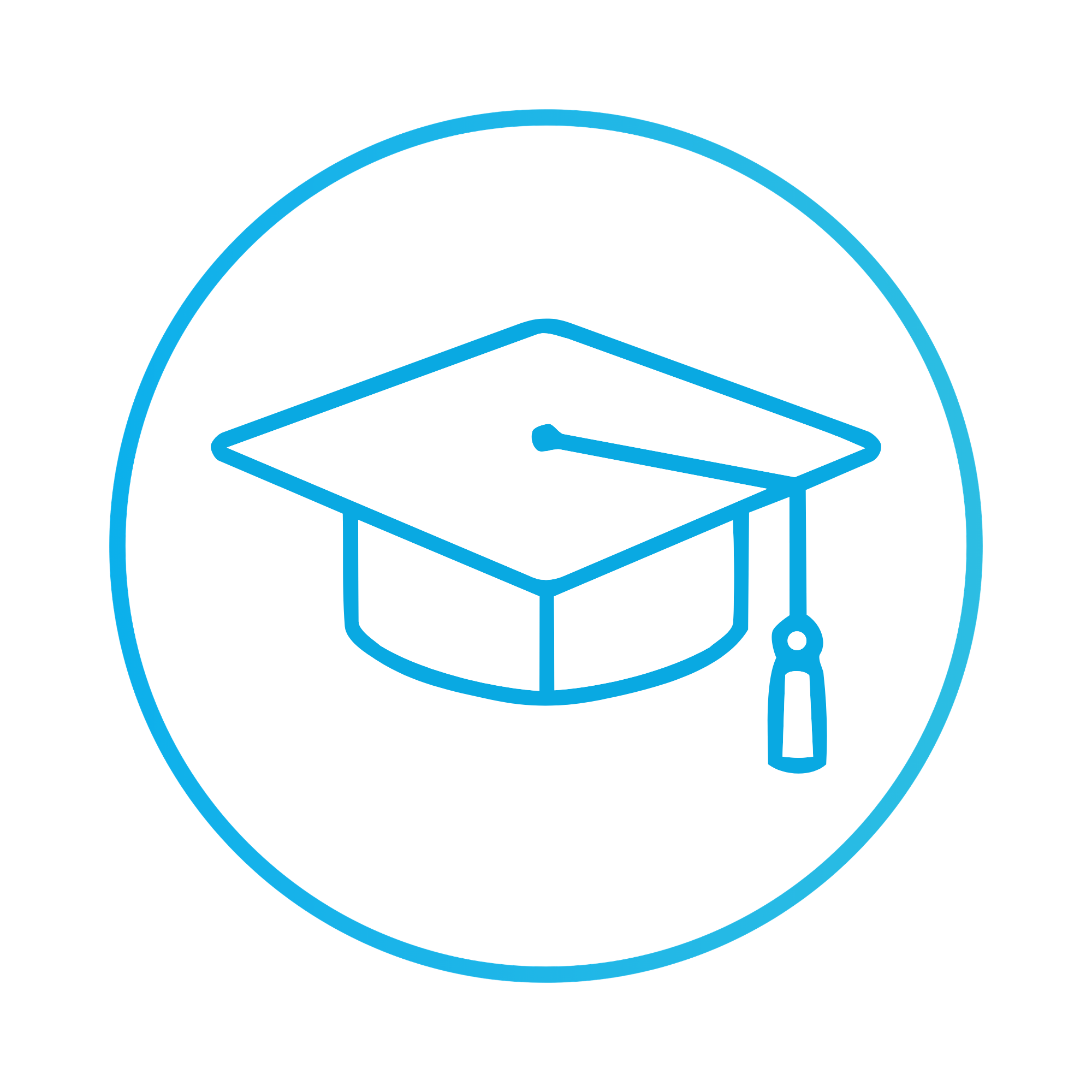 Illustration of a blue diamond-shaped box with a white piece of paper inside, featuring a simple checkmark symbol.