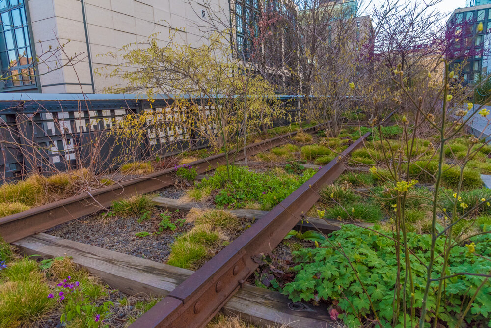 New York City's High Line Repurposed Railroad Tracks And Park