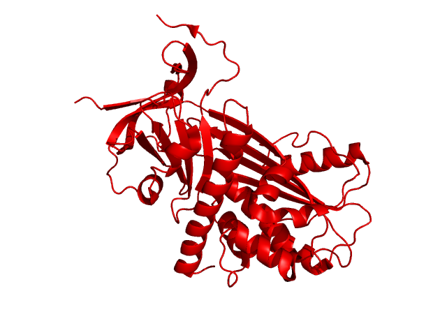 Micro-clotting in Long COVID