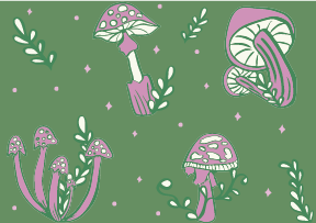 Custom illustrations for packaging tape