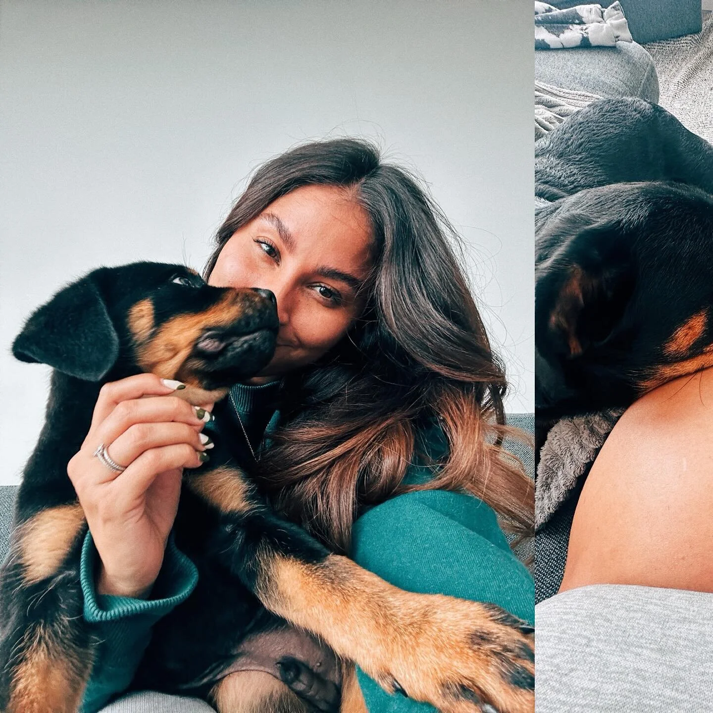 our not so little anymore ball of energy turns 1 today 🎈 #tego ⁣
⁣
@royal_rottie 
⁣
⁣
⁣
⁣
#puppy #rotty #rottweiler #puppybirthday #doggybirthday #furball