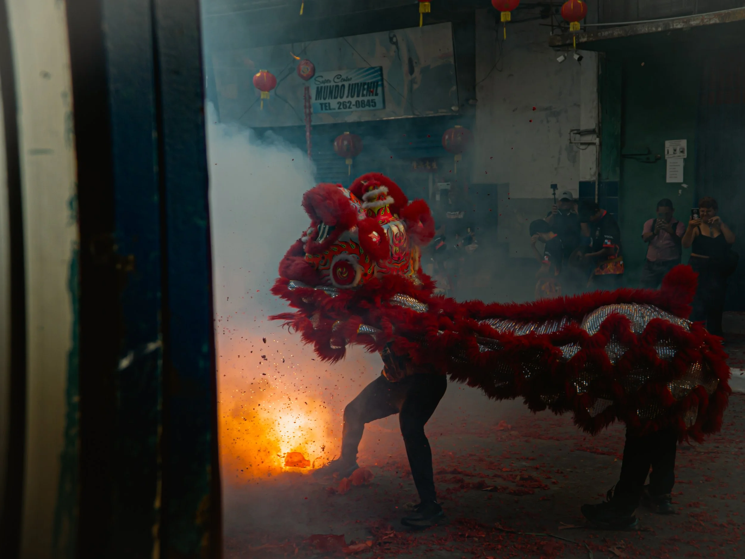 AÑO NUEVO CHINO 25-18.jpg