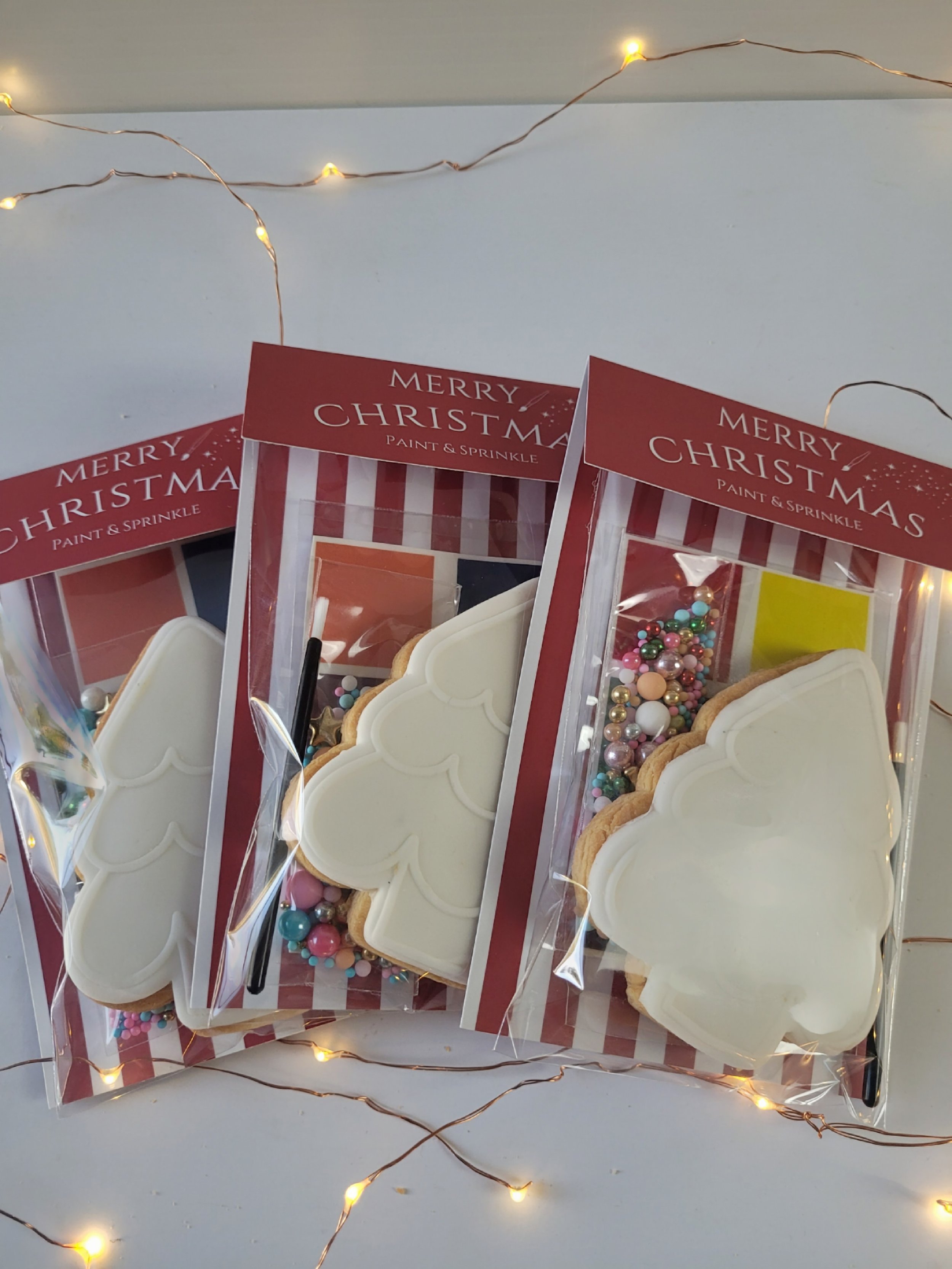 Paint your Own Christmas Cookie - Individual