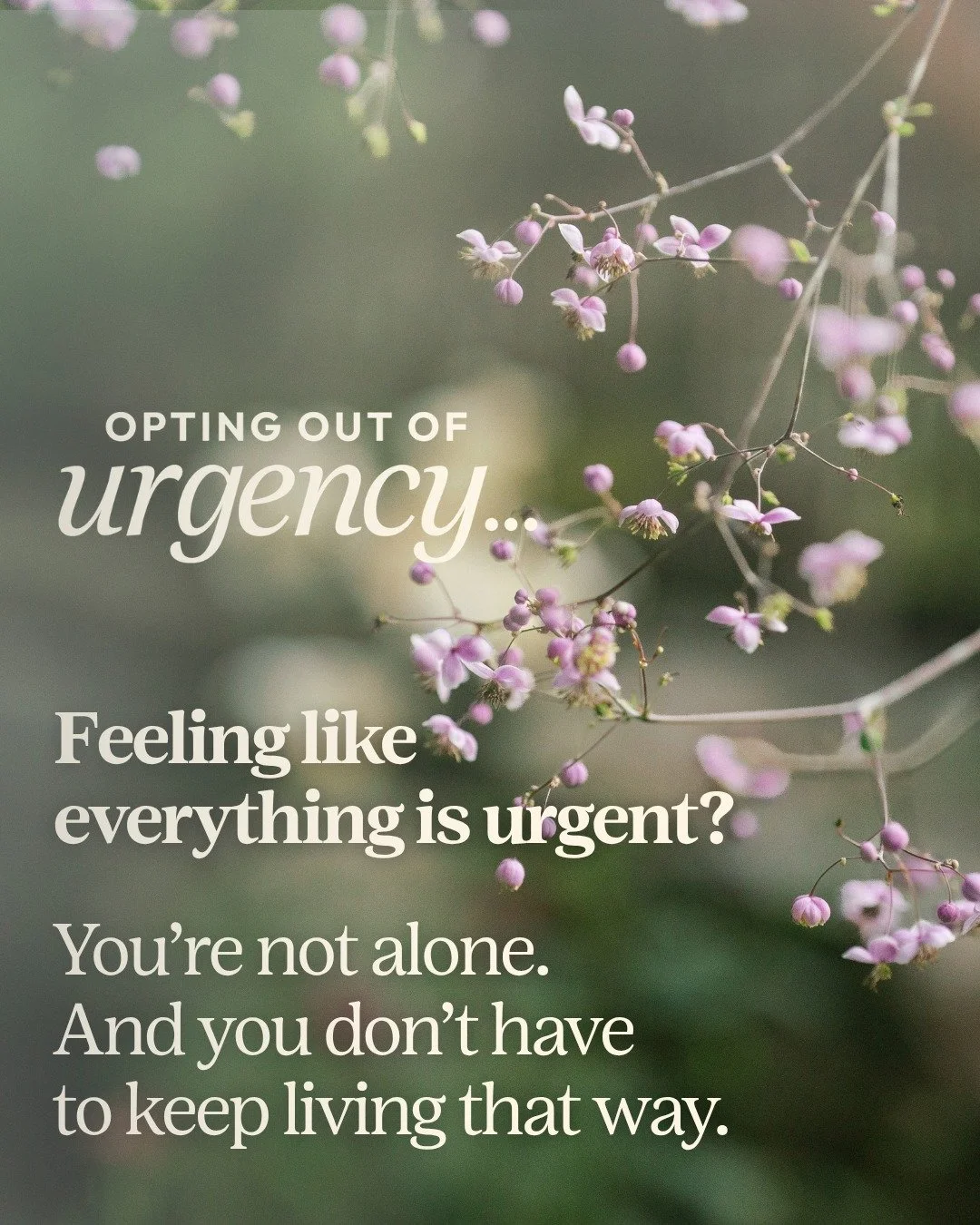 Do you ever feel like you're pushing through the entire day just to get everything done, and somehow still end it running on fumes?

My friend Sarah Tacy is hosting a free workshop called Opting Out of Urgency, and if that feeling above is even a lit