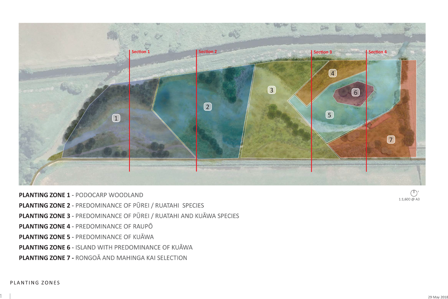 Te Ahuriri_planting_180516-1.png