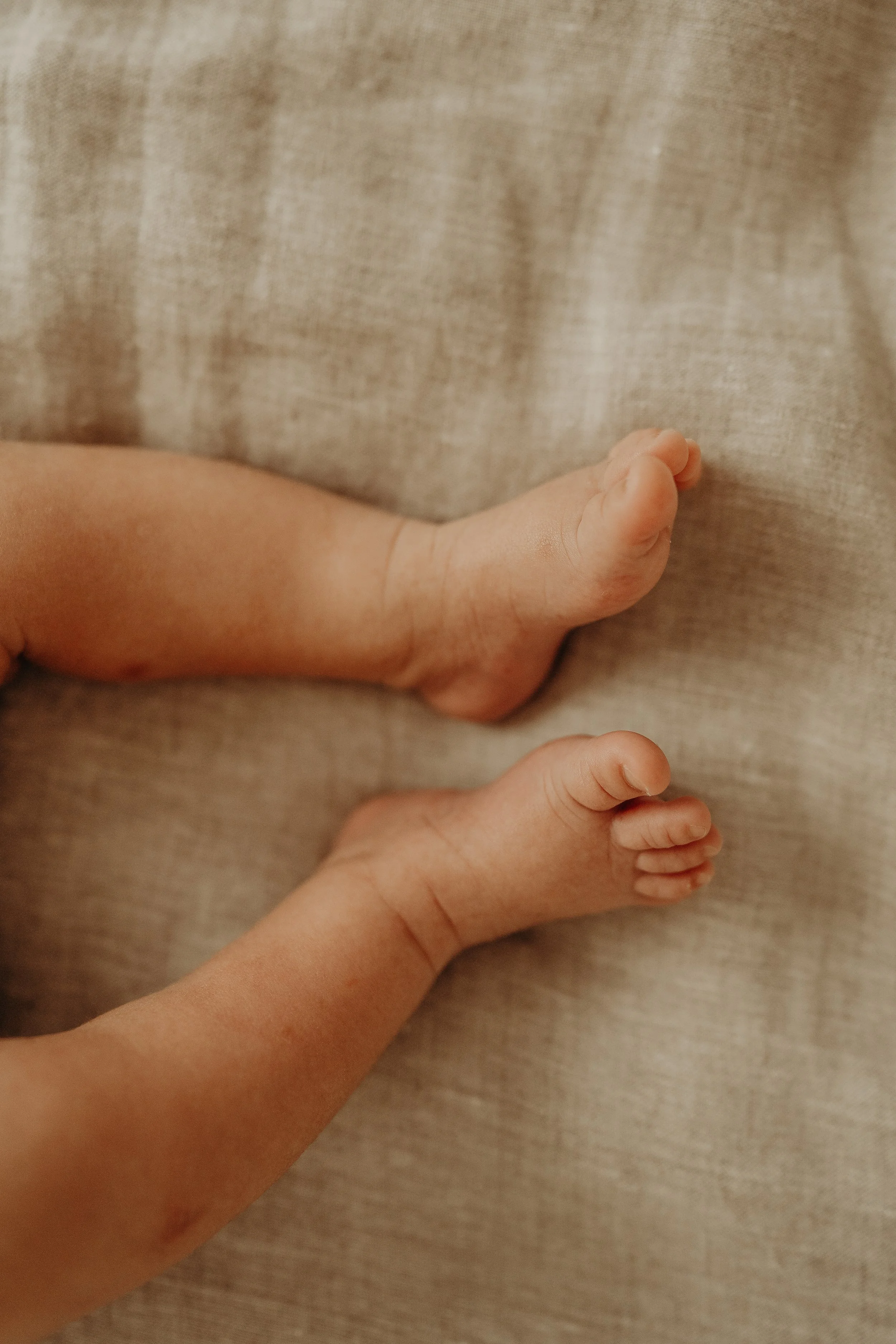 Newborn-Family-Photoshoot-Studio-Fort-Myers-Florida-Norma-Garcia-Photography-2024-Baby-Adilae-75.jpg