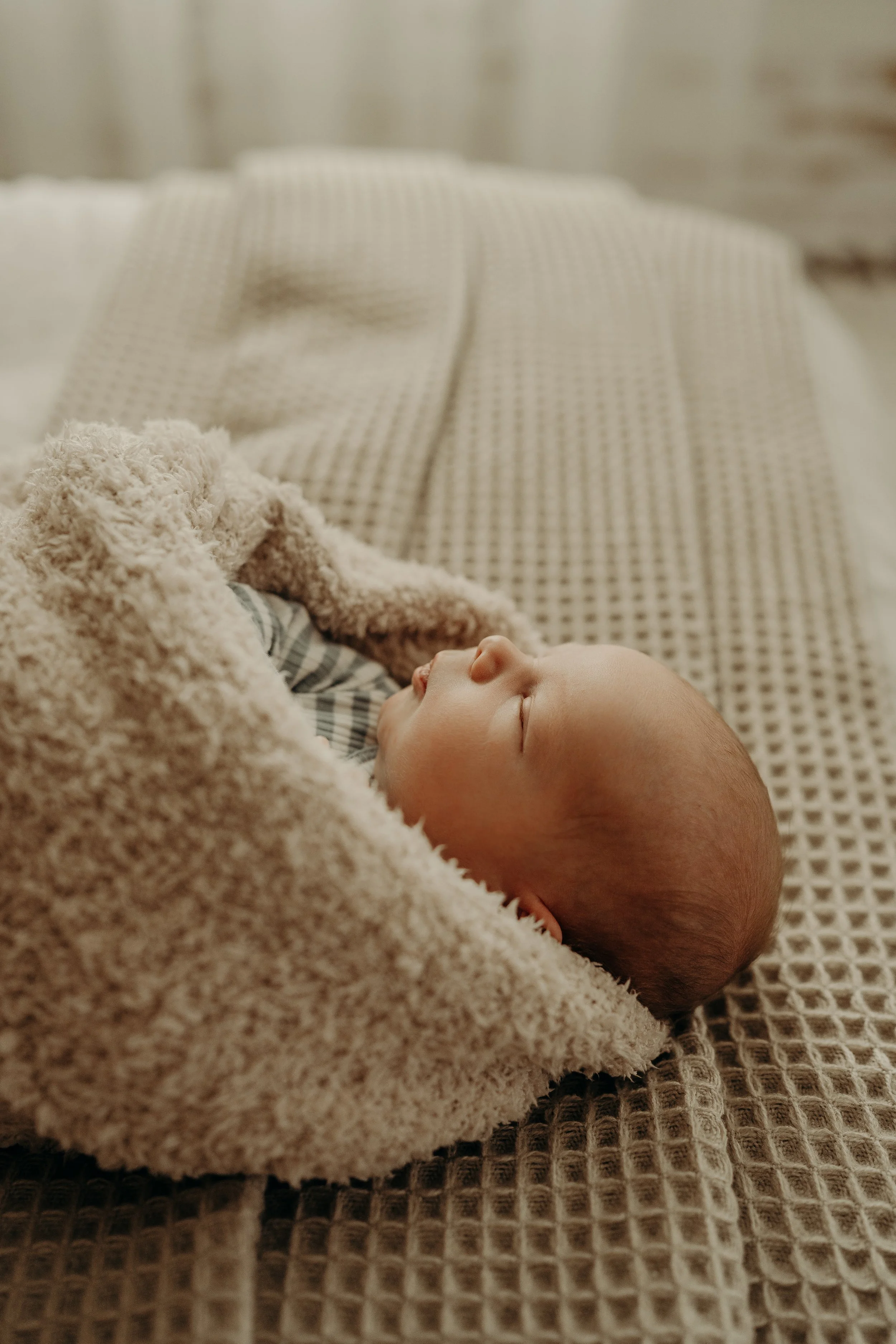 Newborn-Photoshoot-Studio-Fort-Myers-Florida-Norma-Garcia-Photography-2024-Baby-Miles-29.jpg