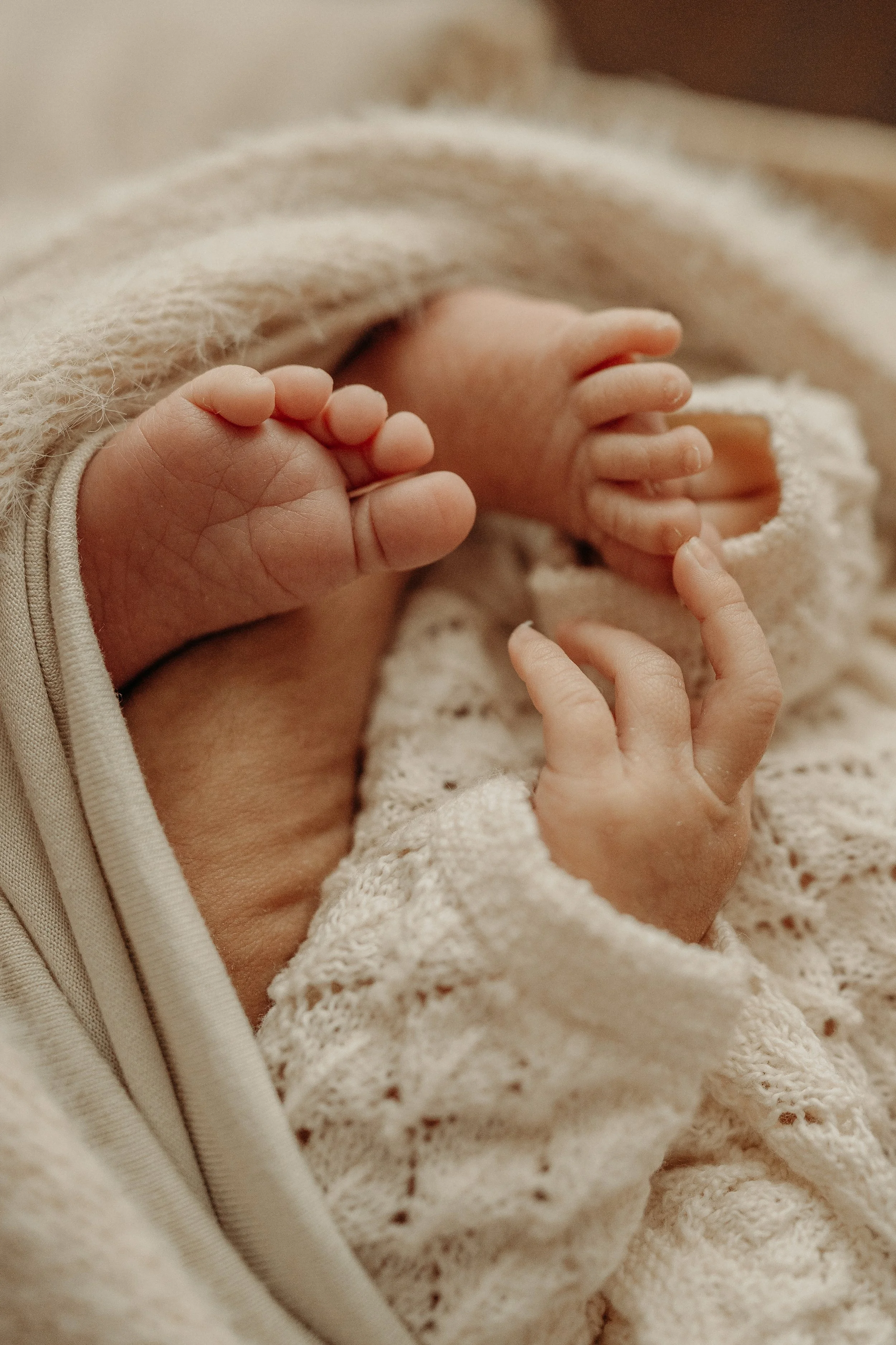 Newborn-Photoshoot-Studio-Fort-Myers-Florida-Norma-Garcia-Photography-Baby-Allison-1.jpg