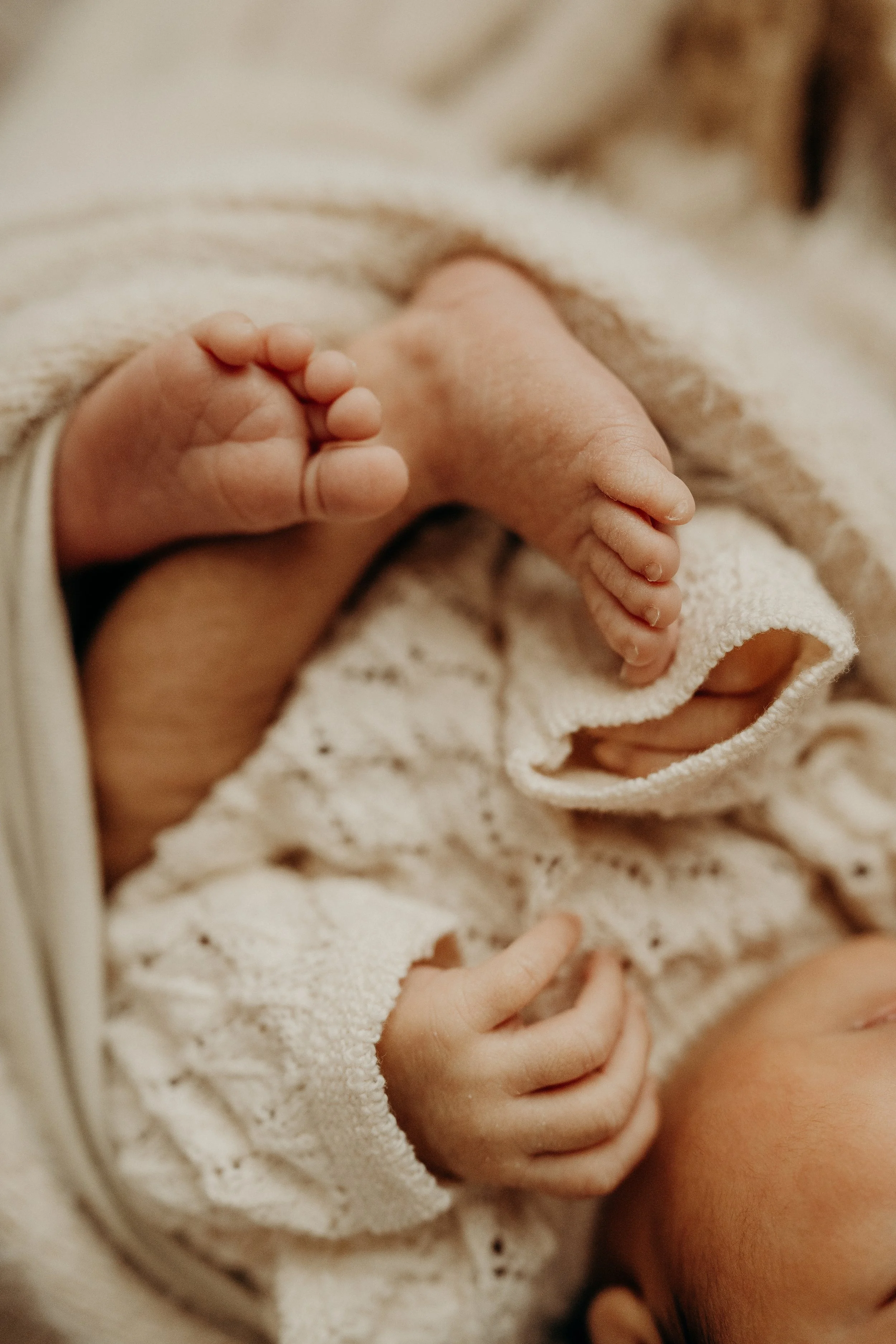 Newborn-Photoshoot-Studio-Fort-Myers-Florida-Norma-Garcia-Photography-Baby-Allison-5.jpg