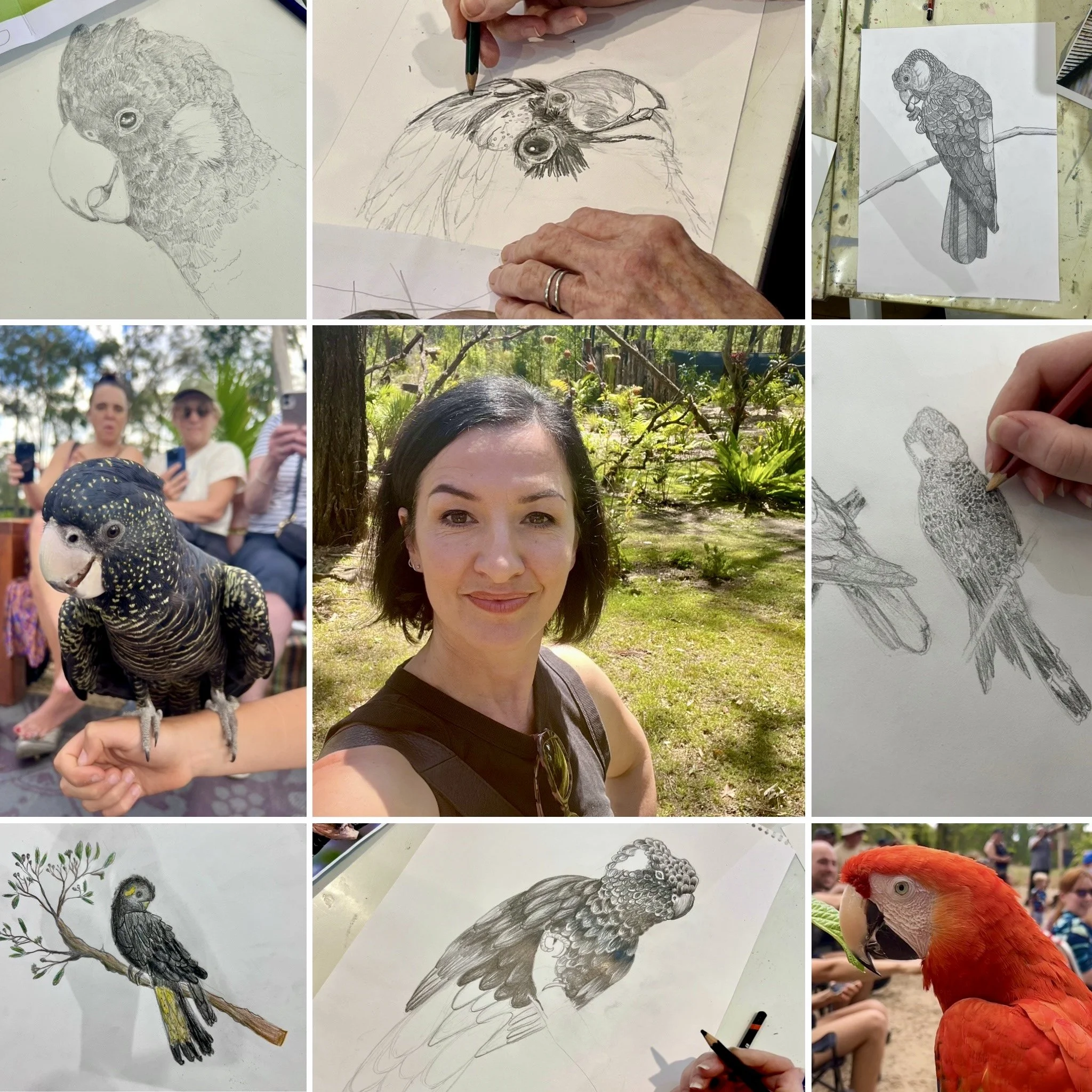 Bird Art Classes at Feathered Friends Bird Sanctuary