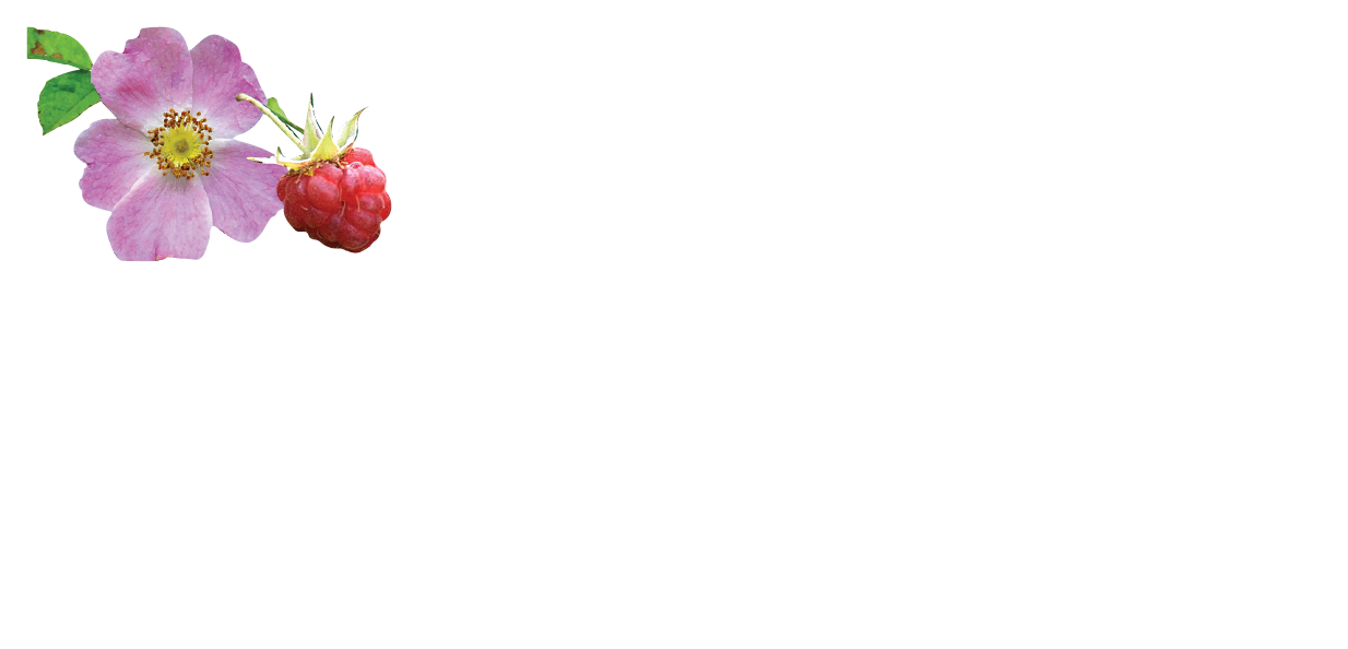 Wilson Landscape &amp; Garden