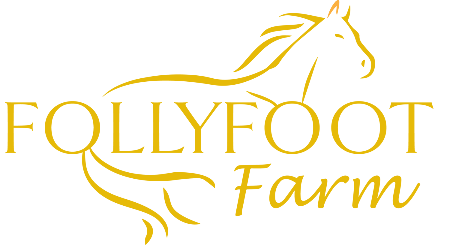 Follyfoot Farm