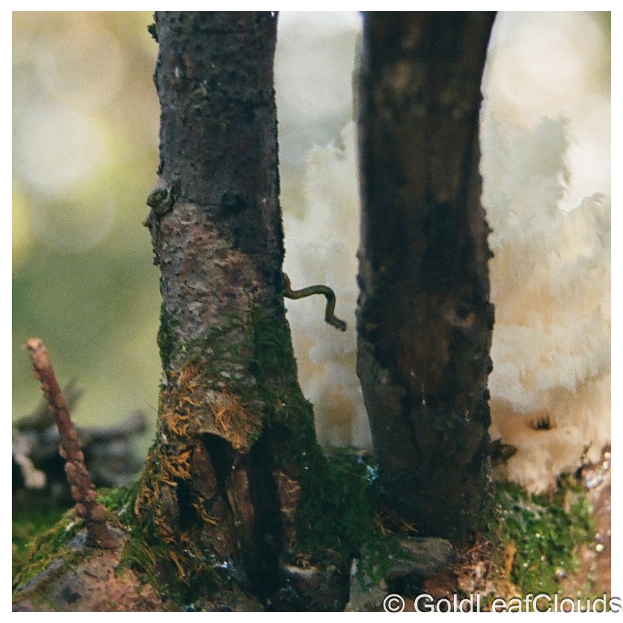 000010760025 (1) (1).jpg