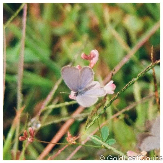 000010760004 (1).jpg