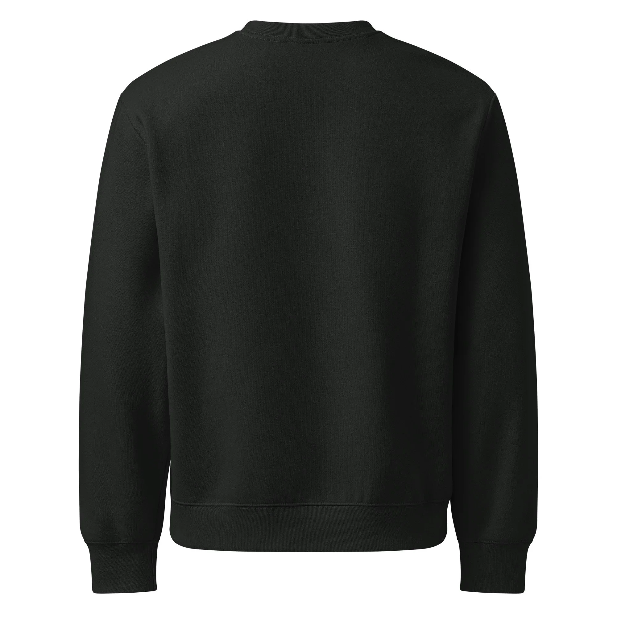 unisex-oversized-heavyweight-sweatshirt-vintage-black-back-689c171d45a3e.jpg