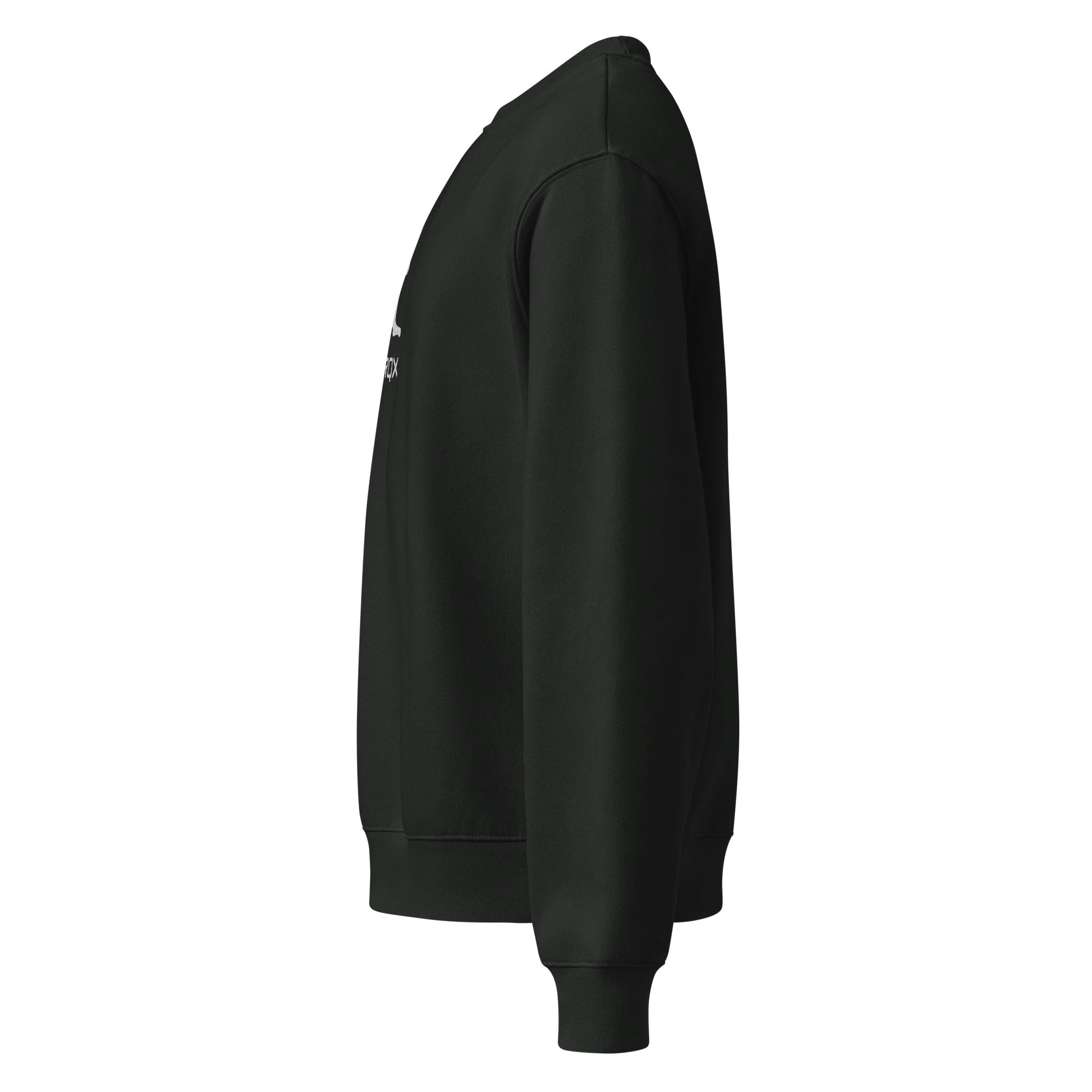 unisex-oversized-heavyweight-sweatshirt-vintage-black-left-689c171d45bb7.jpg