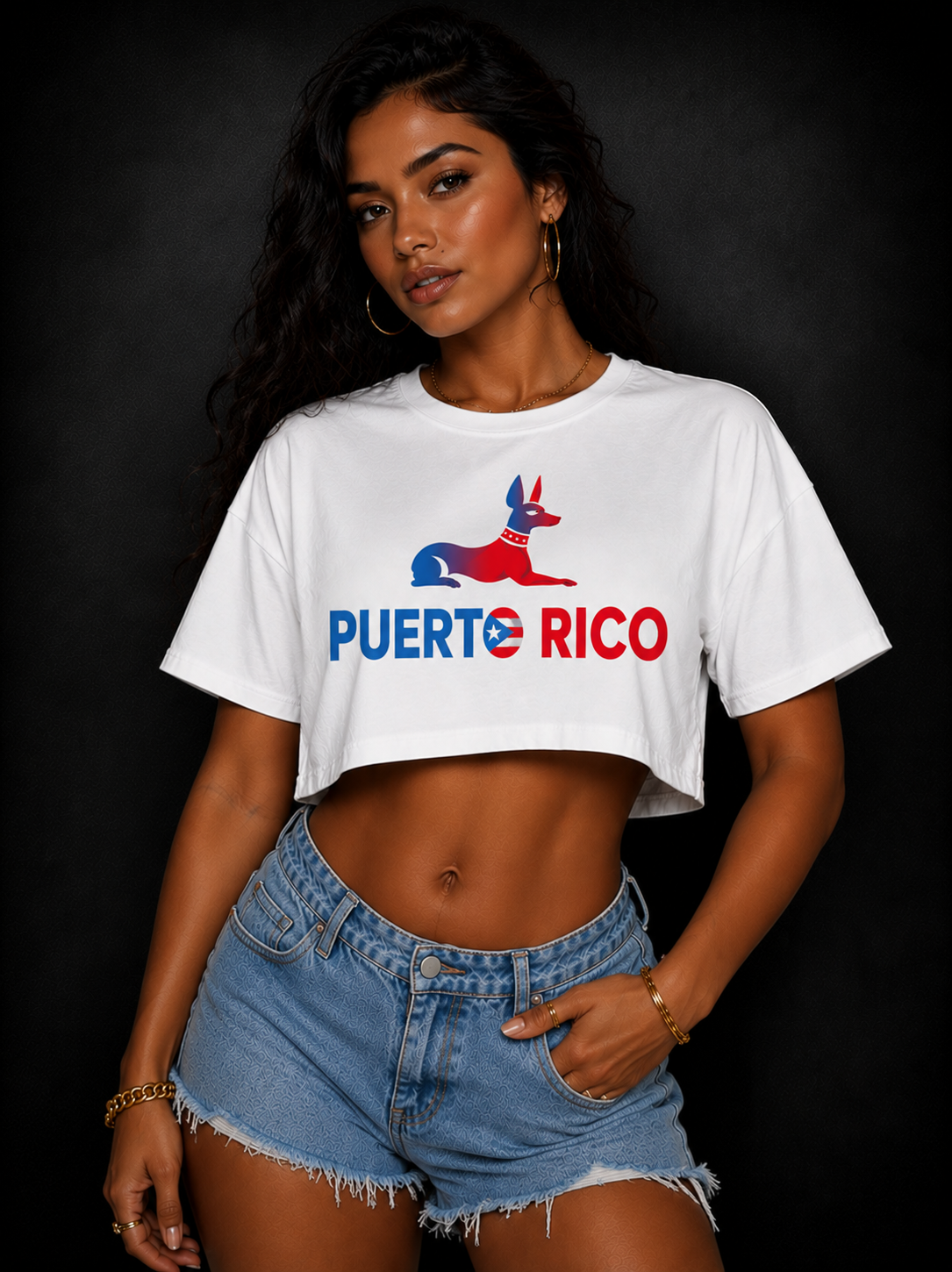 PR11 Crop Tee