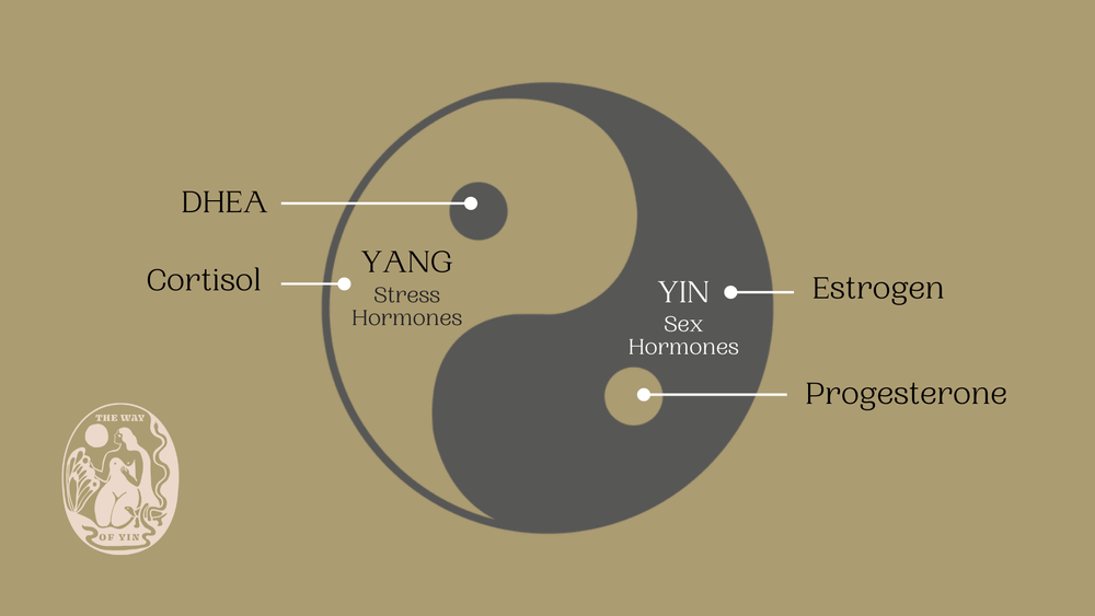 Yin & Yang of Hormones — The Way of Yin
