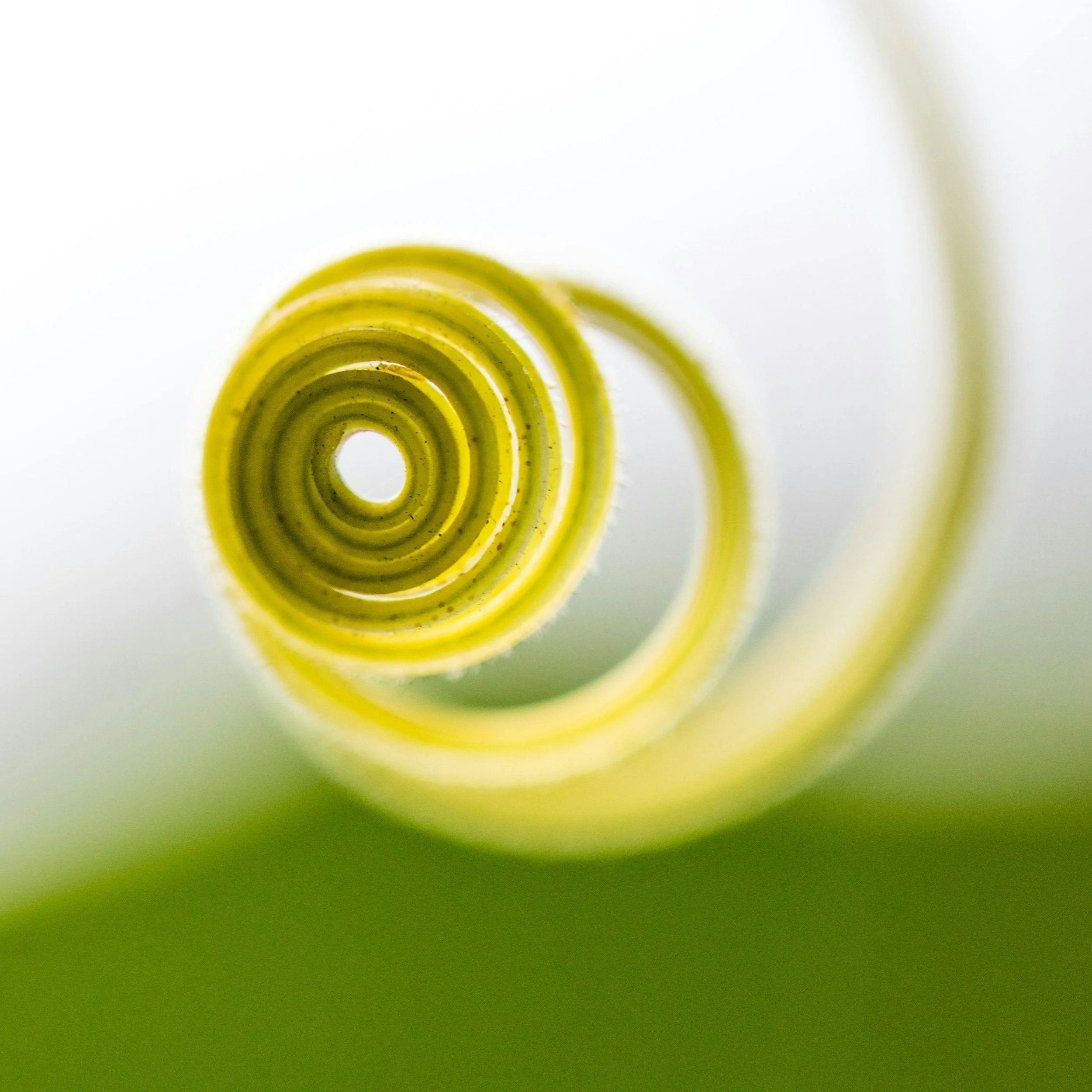 Womb School — The Way of Yin