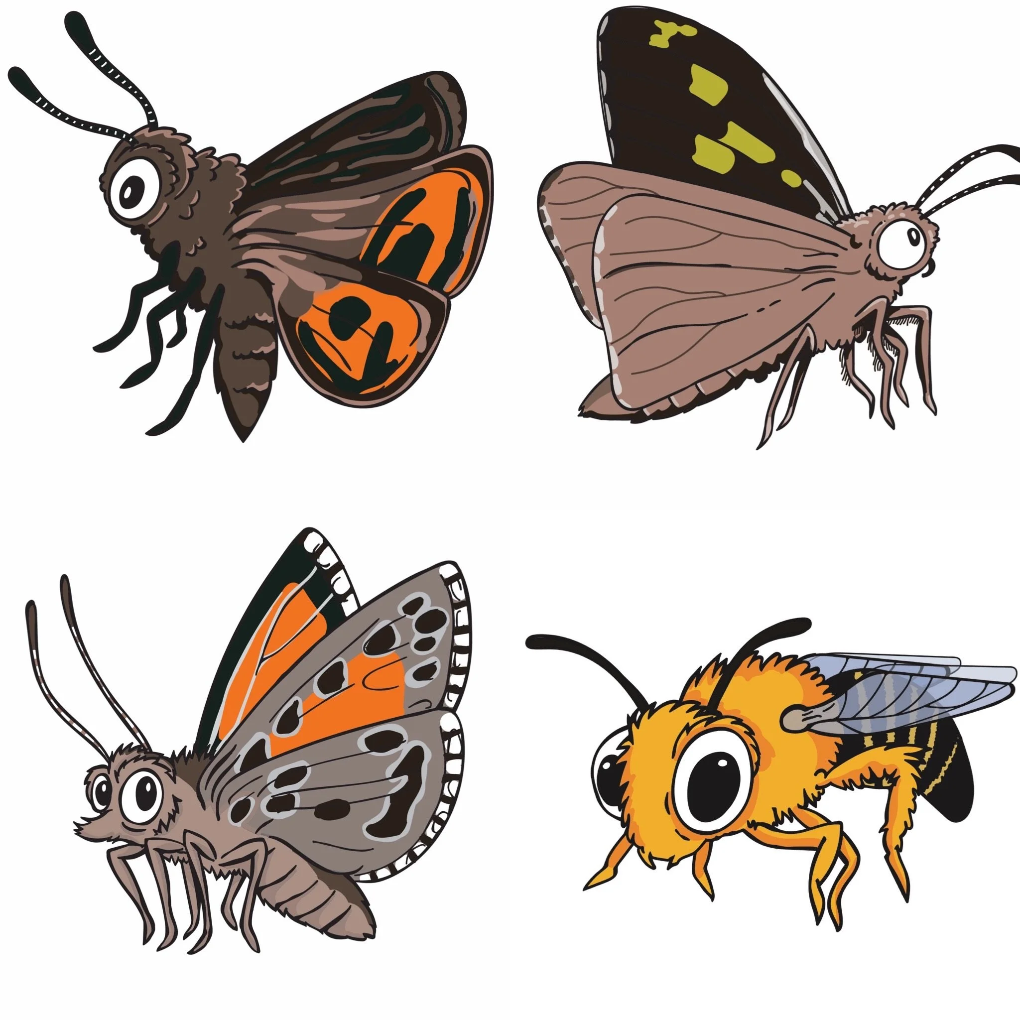 City of Burnside Environment Expo 2025