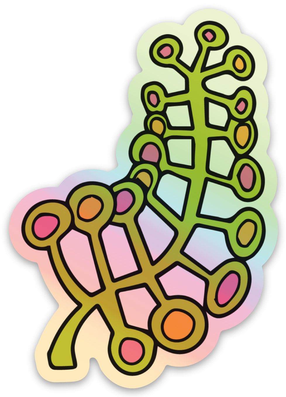 holo plant22083729_proof.png