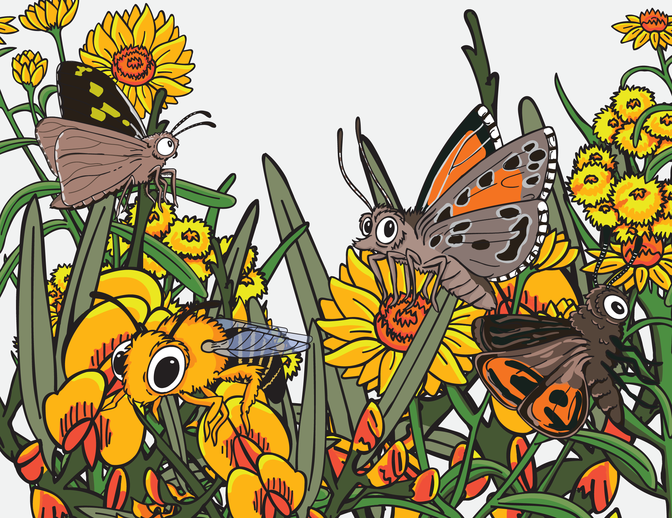 City of Burnside Environment Expo 2025