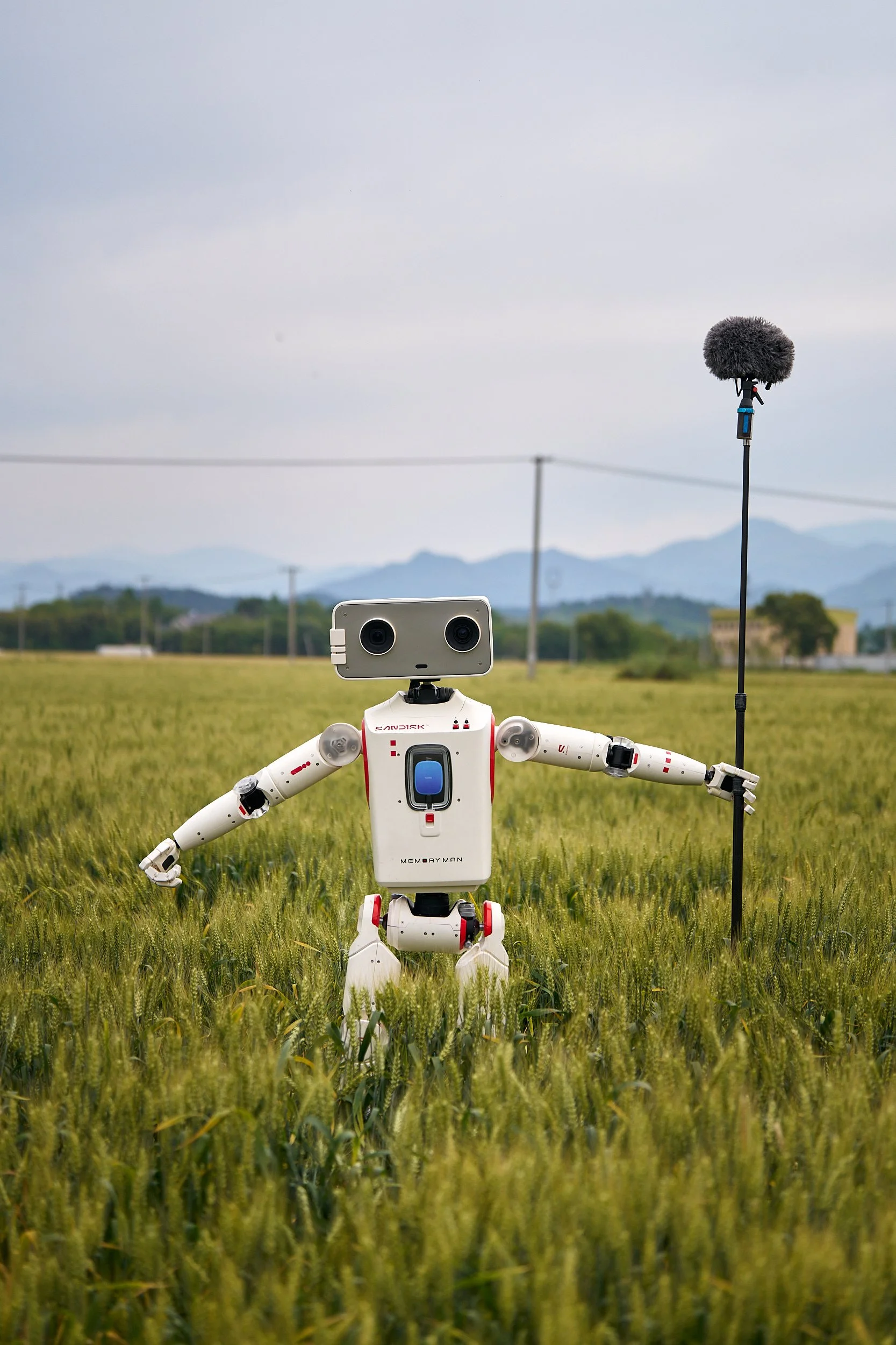 Robot sound microphone.jpg