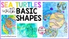 How to Create a Simple Sea Turtle Drawing | Easy Sea Turtle Drawing and ...