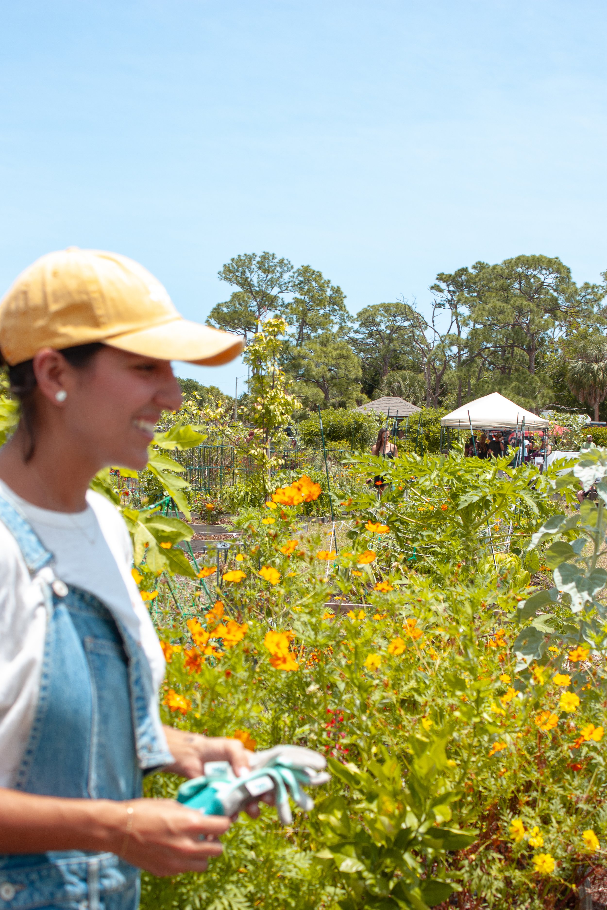 Summer Solstice Garden Party (Florida)