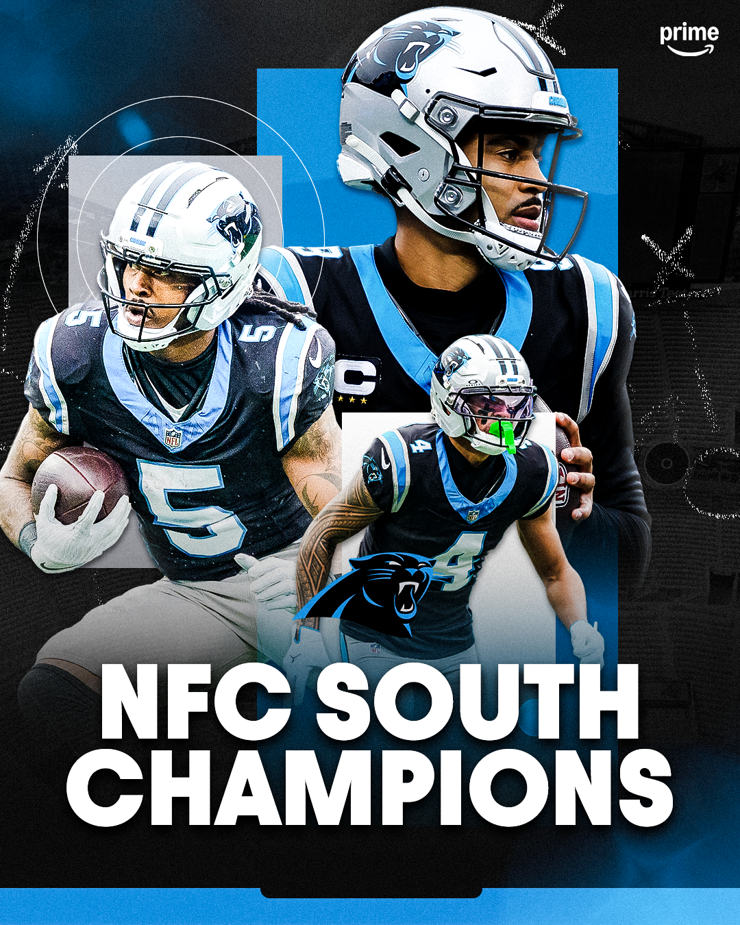 NFC-South-Division-Champs-Panthers.png