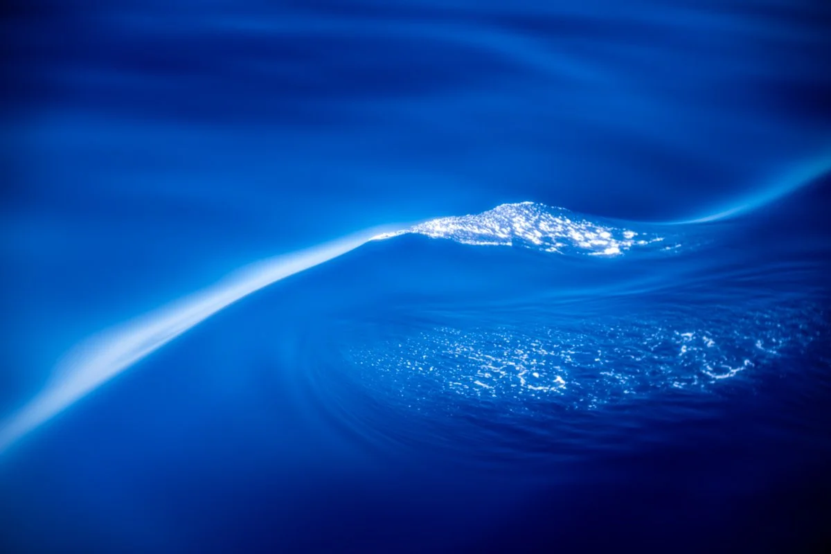 Sea Calligraphy -4.jpg