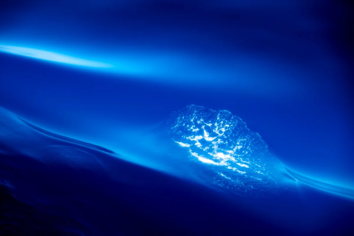 Sea Calligraphy -5.jpg