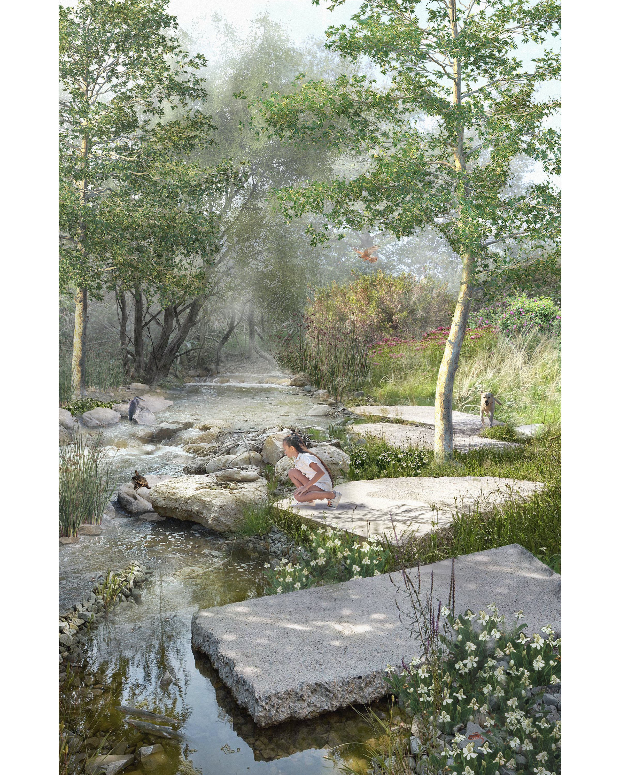 BSLA_Phasing Freshwater_5.jpg