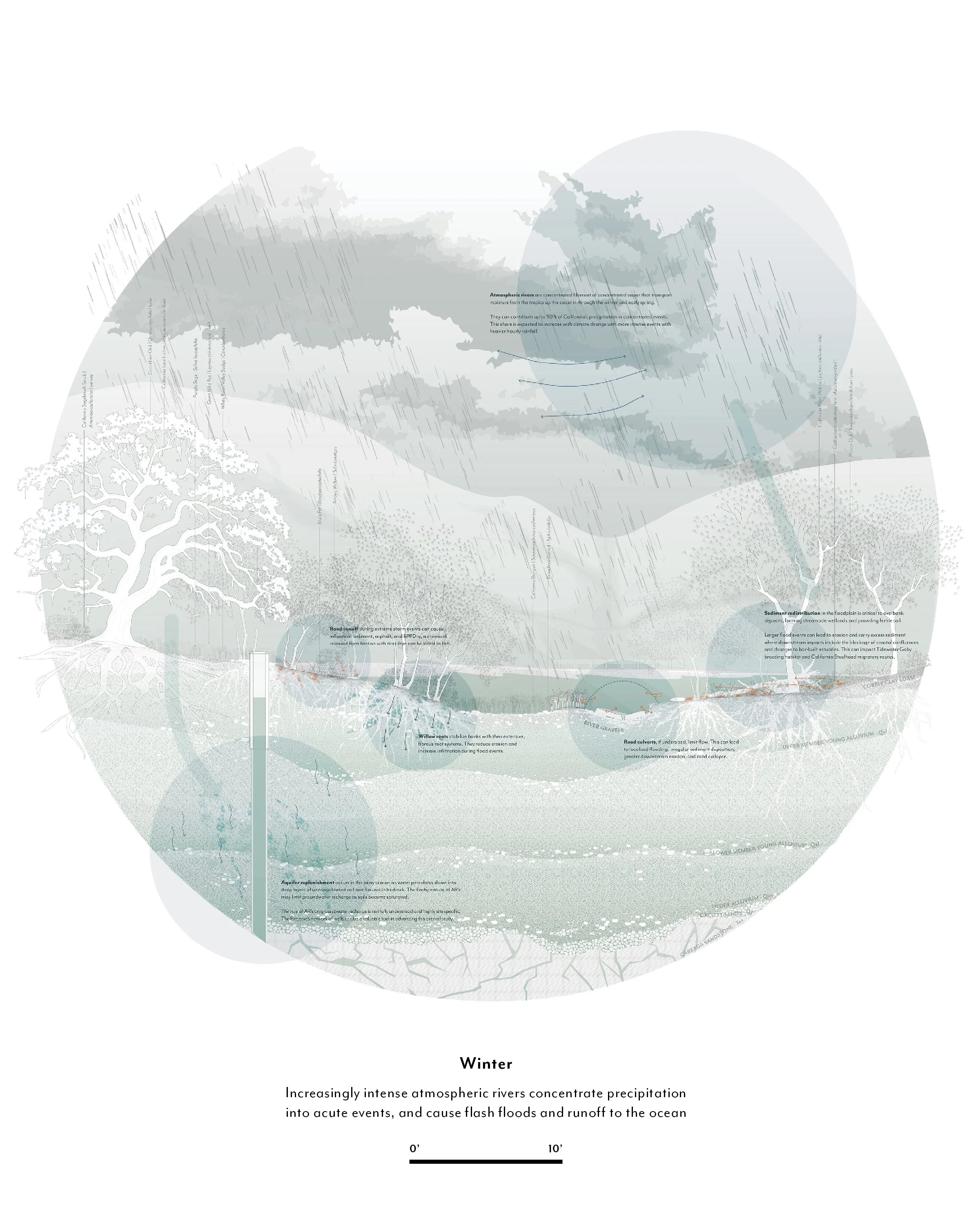 BSLA_Phasing Freshwater_2.jpg