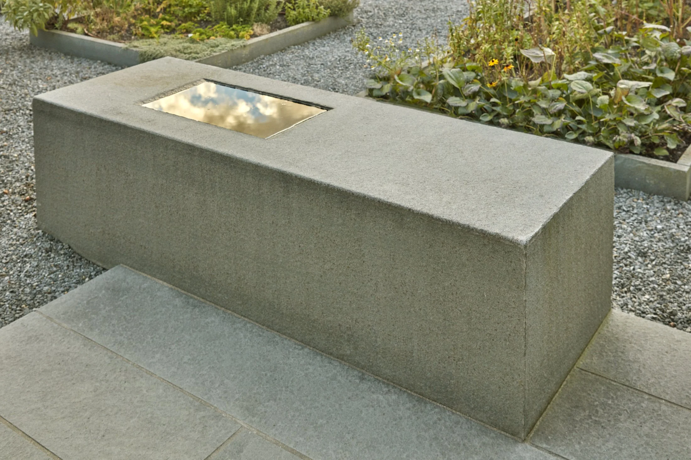 Katama Bay — BSLA Fieldbook