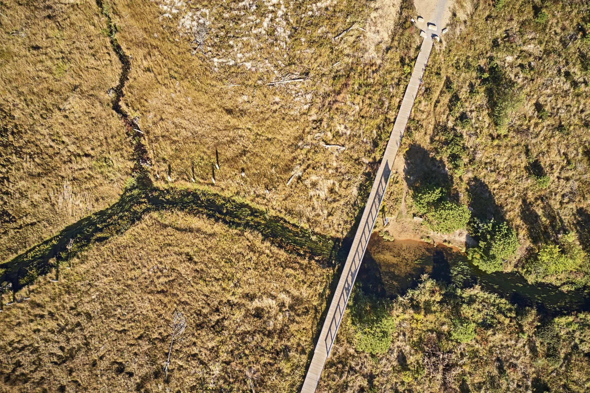 SAA_CoonamessettPark_Aerials_0086.jpg