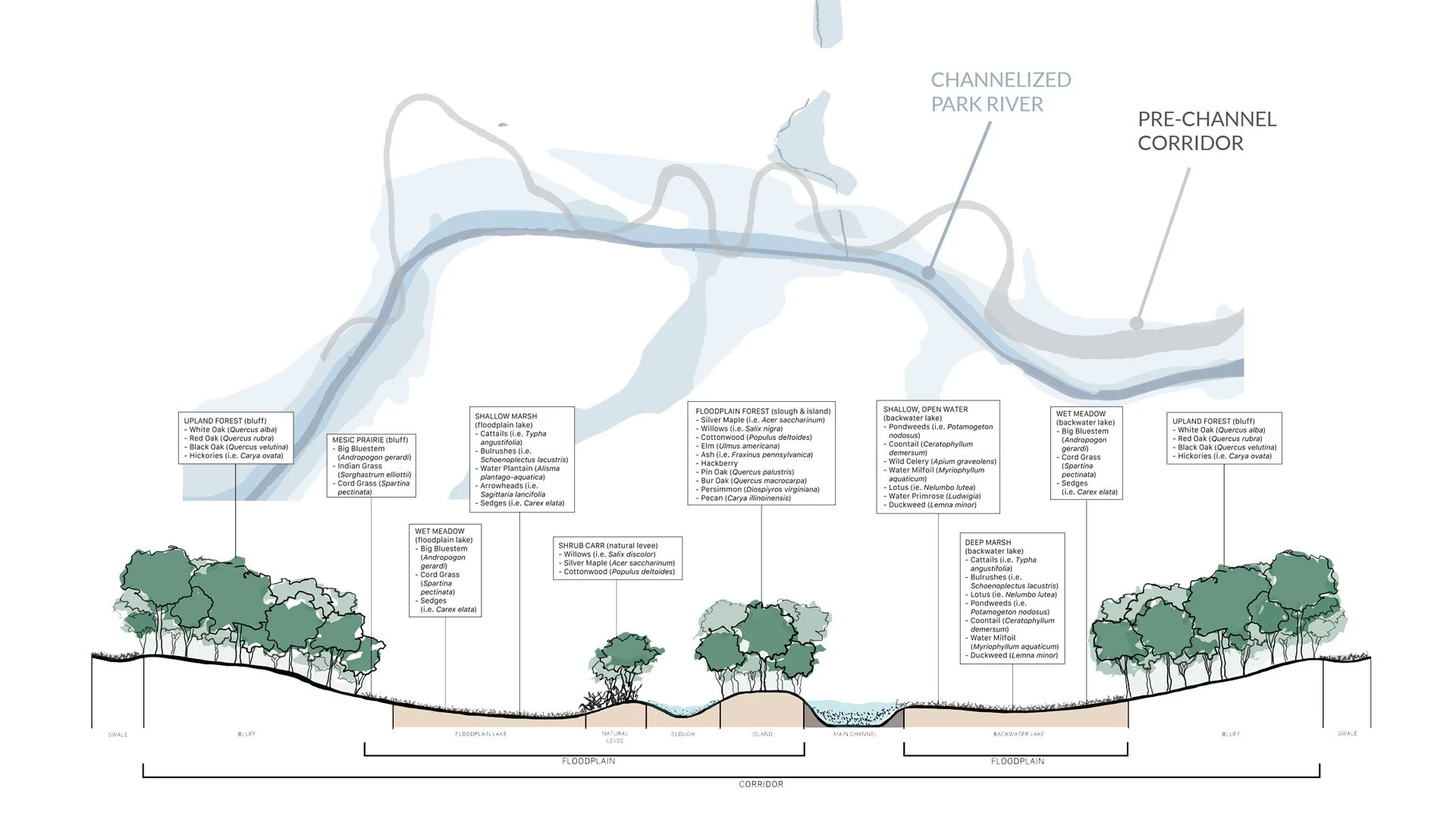 Recovering Parkville, Ecology Section.jpg