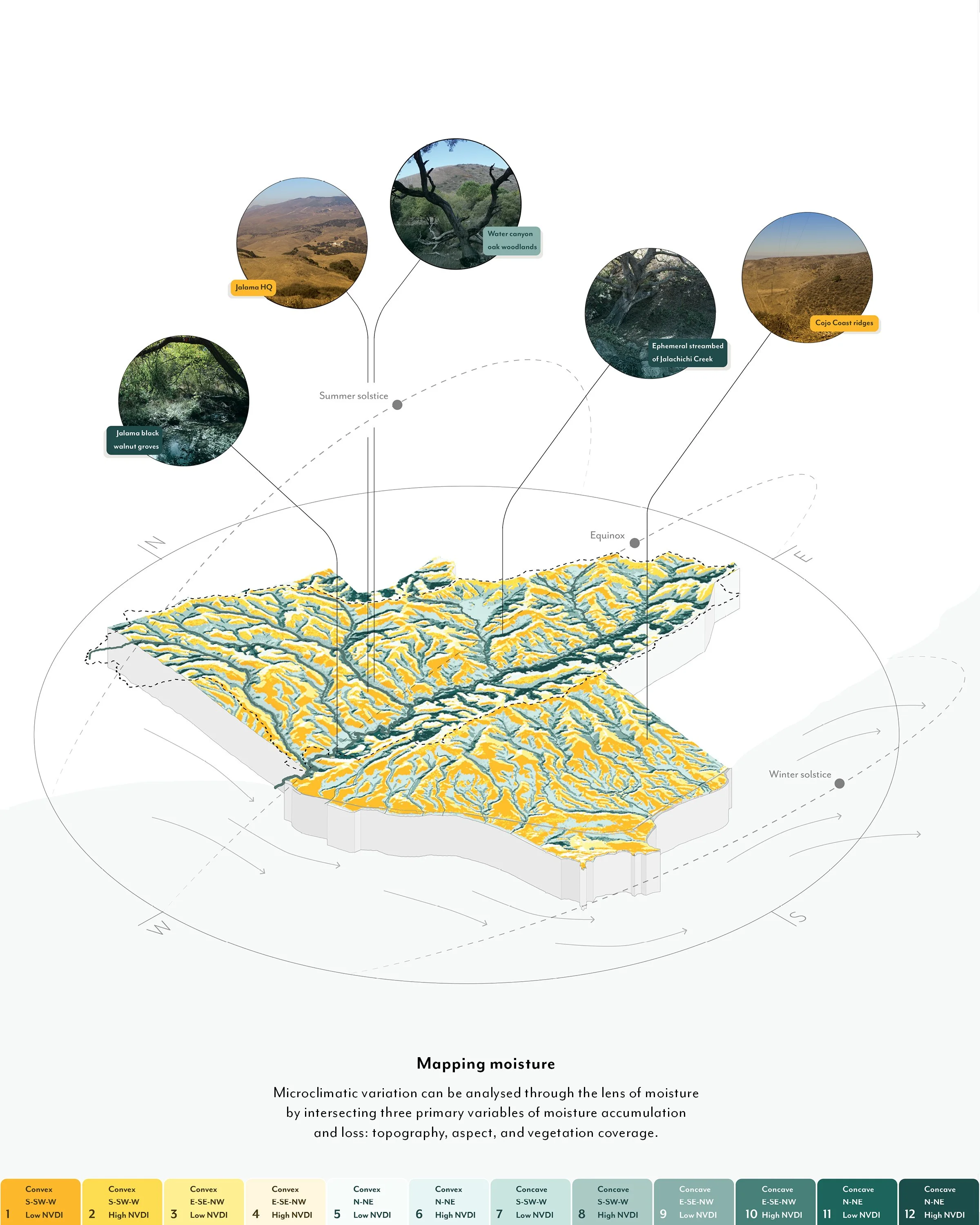 BSLA_Phasing Freshwater_3.jpg
