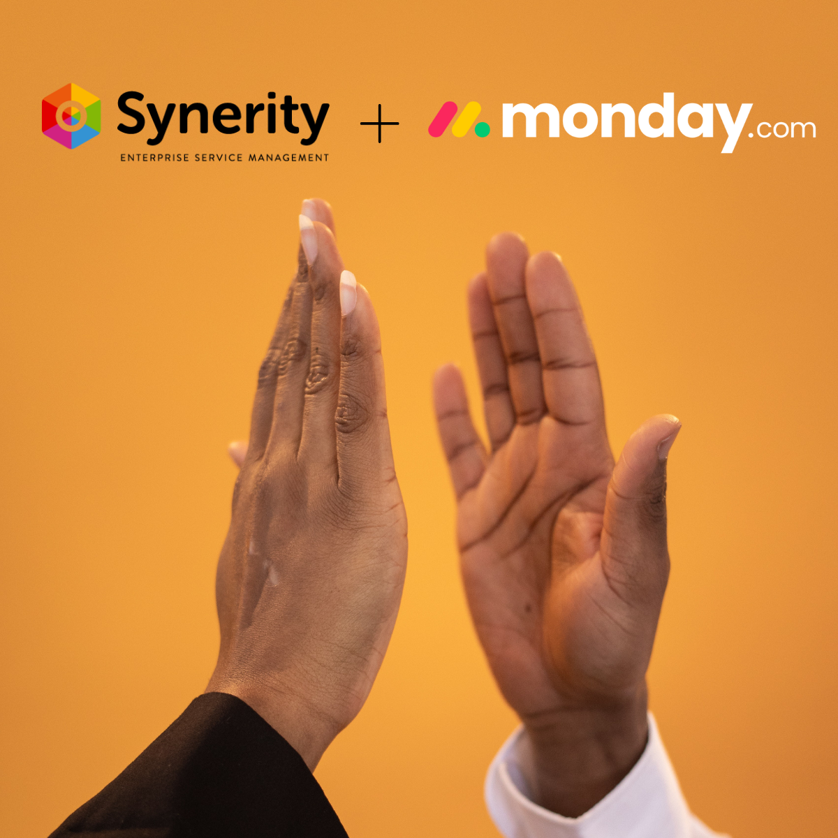 Synerity launches partnership with monday.com
