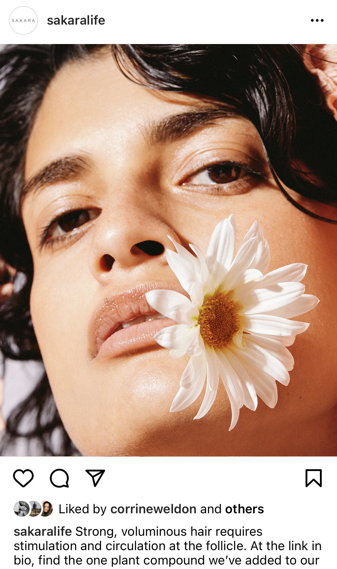 Hair Article Image.jpg