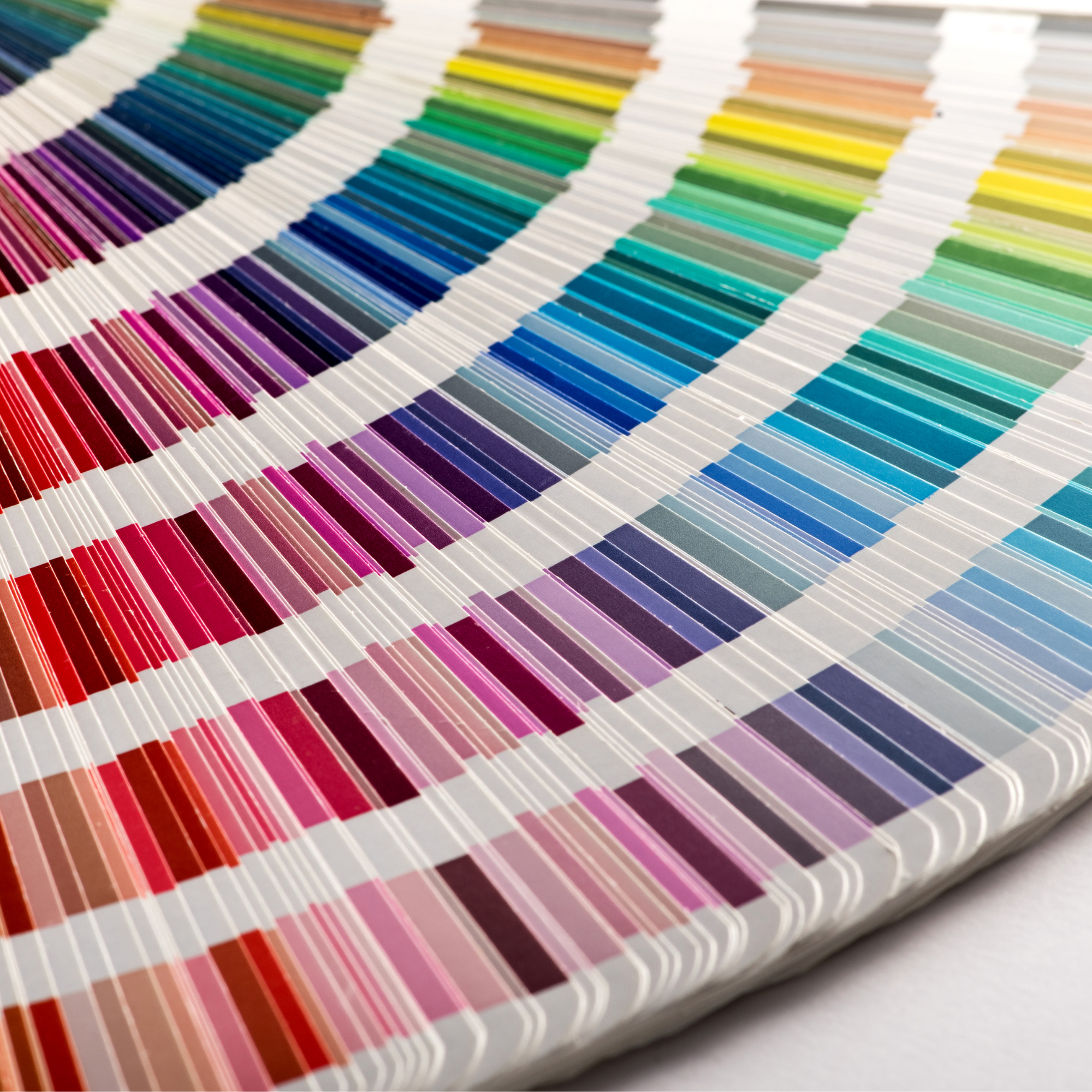 The Colour Experience