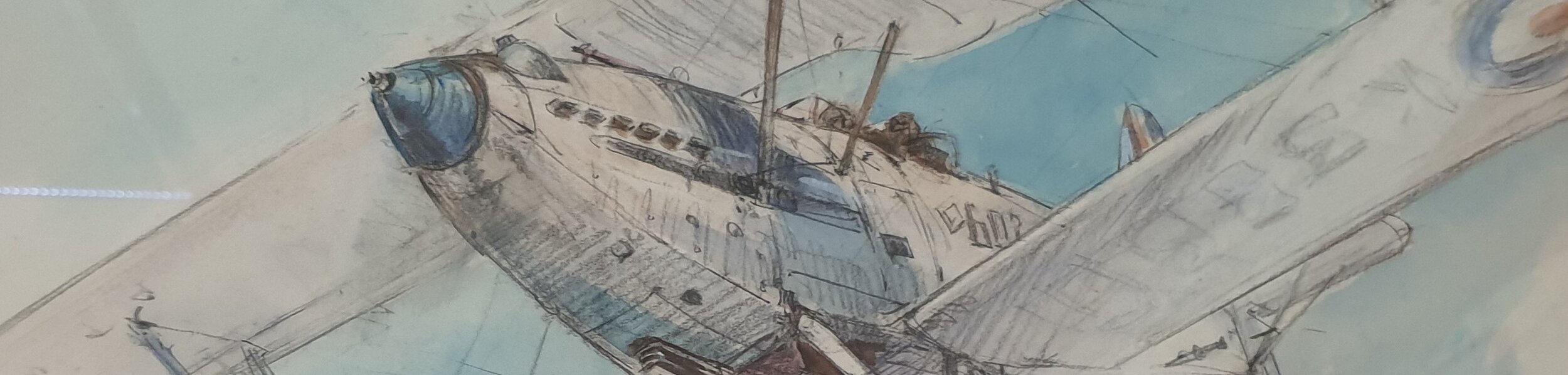 Plane Banner Hamily.jpg