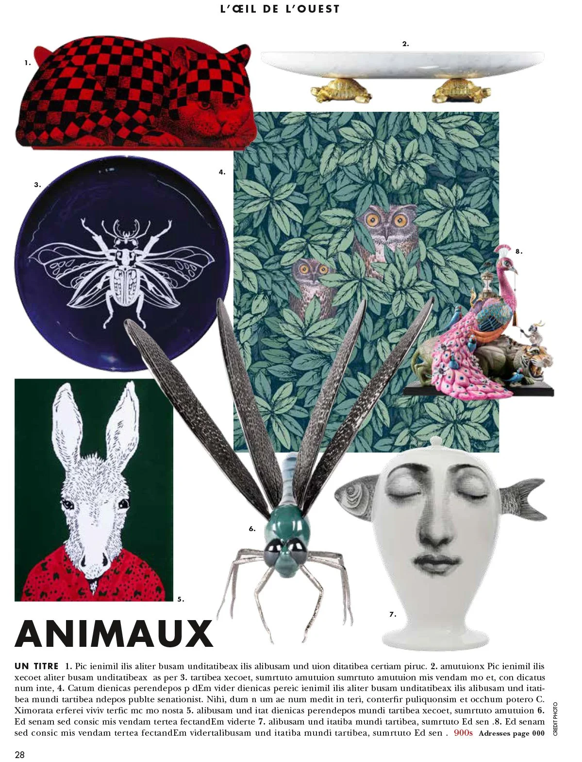 Animaux _OEIL_2 - Animaux copie.jpg